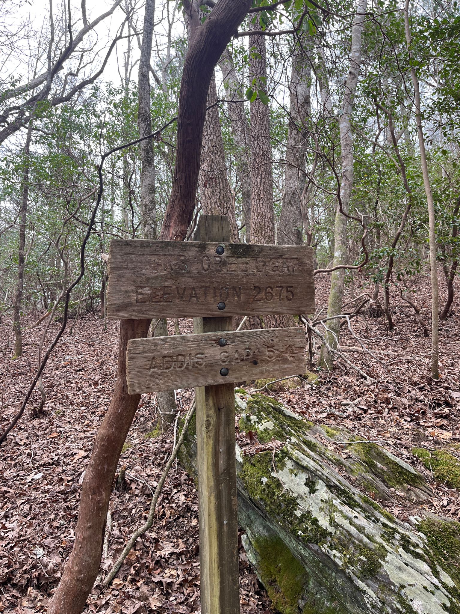 A weathered wooden trail sign in a dense, overcast forest. - Appalachian Trail: Dicks Creek Gap to Powell Mountain