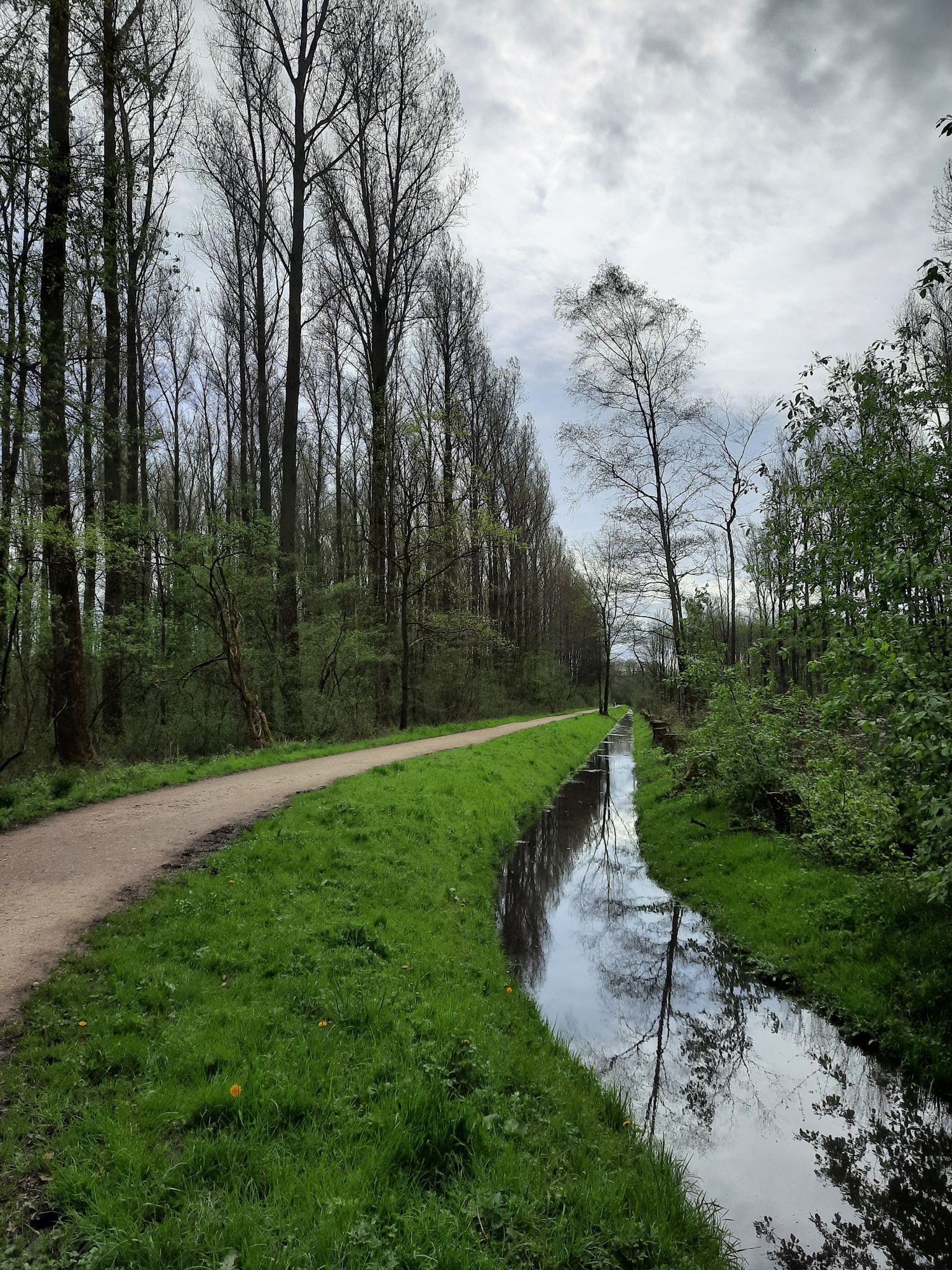 Horster Graben