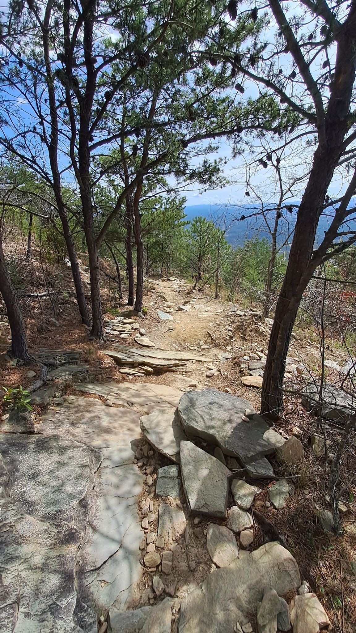 Rocky dirt path winding downhill through a sparse forest. - Running loop from Pisgah WRC Game Land
