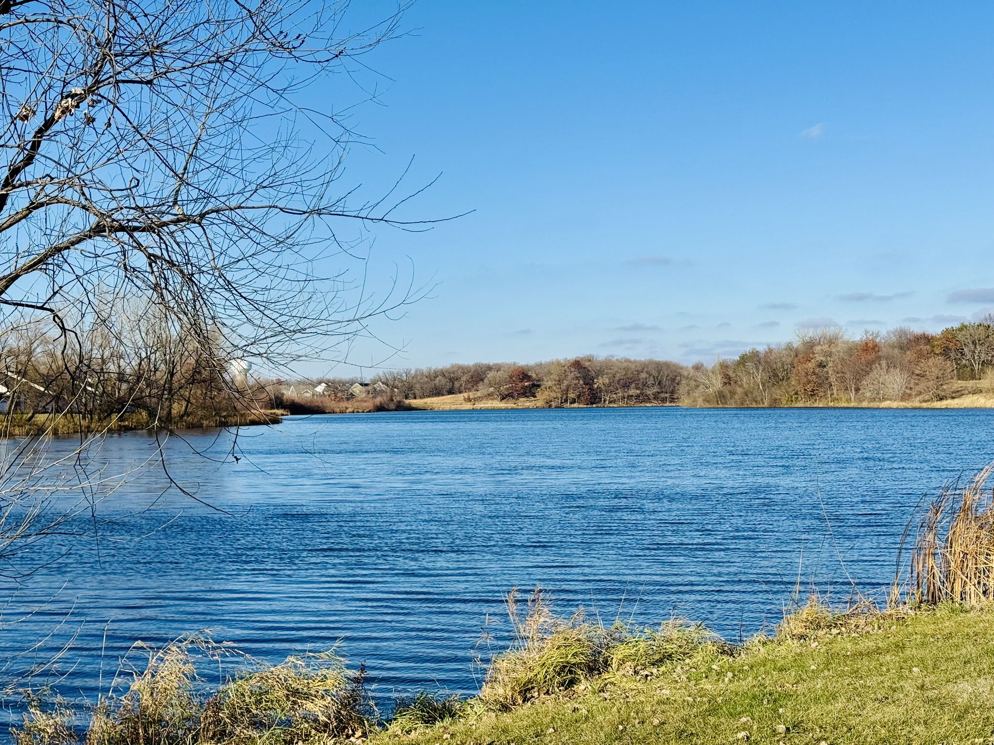 A calm blue lake surrounded by bare trees and green banks on a clear day. - Burnsville and Apple Valley loop