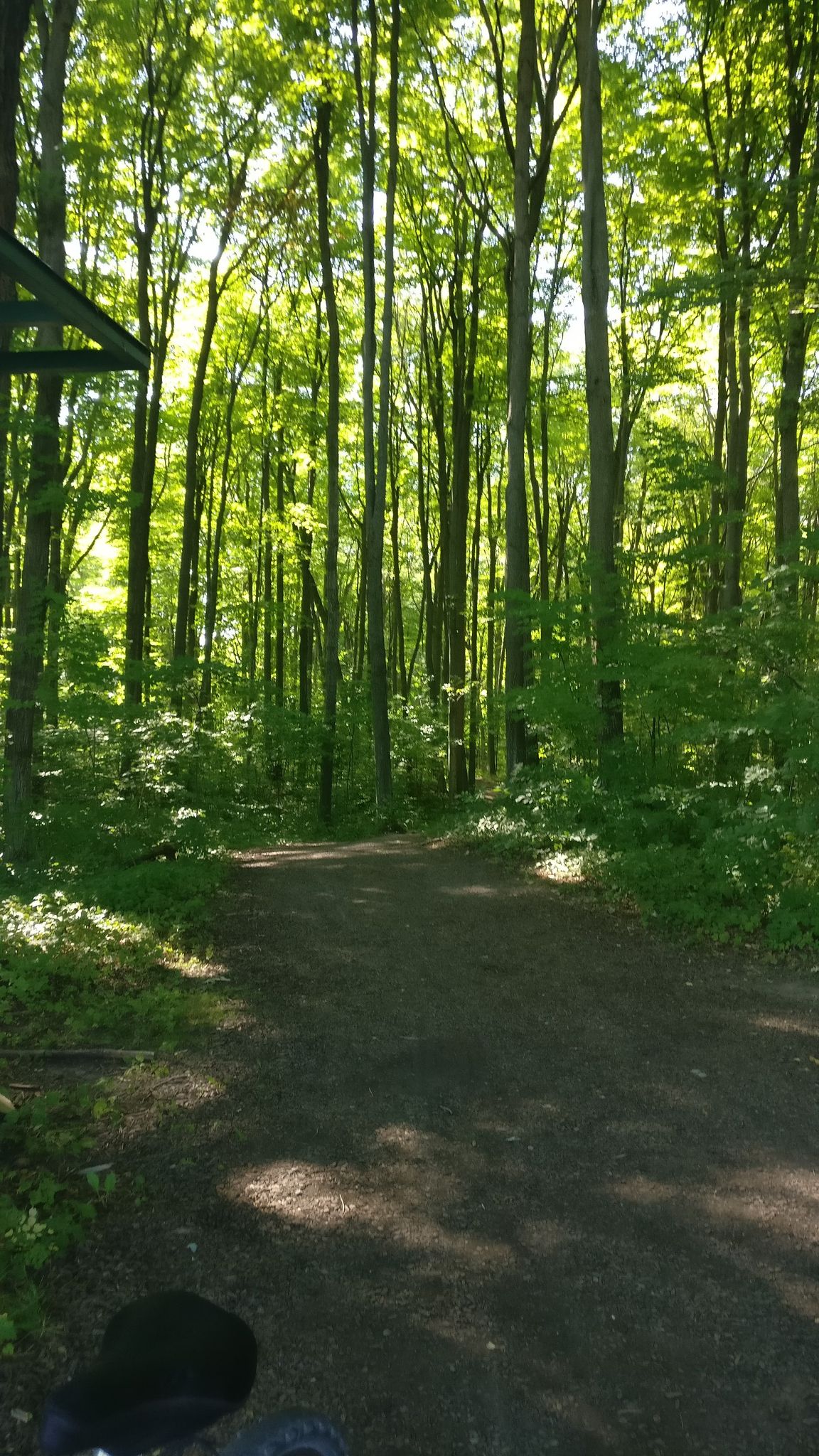 Saigeon trail extension
