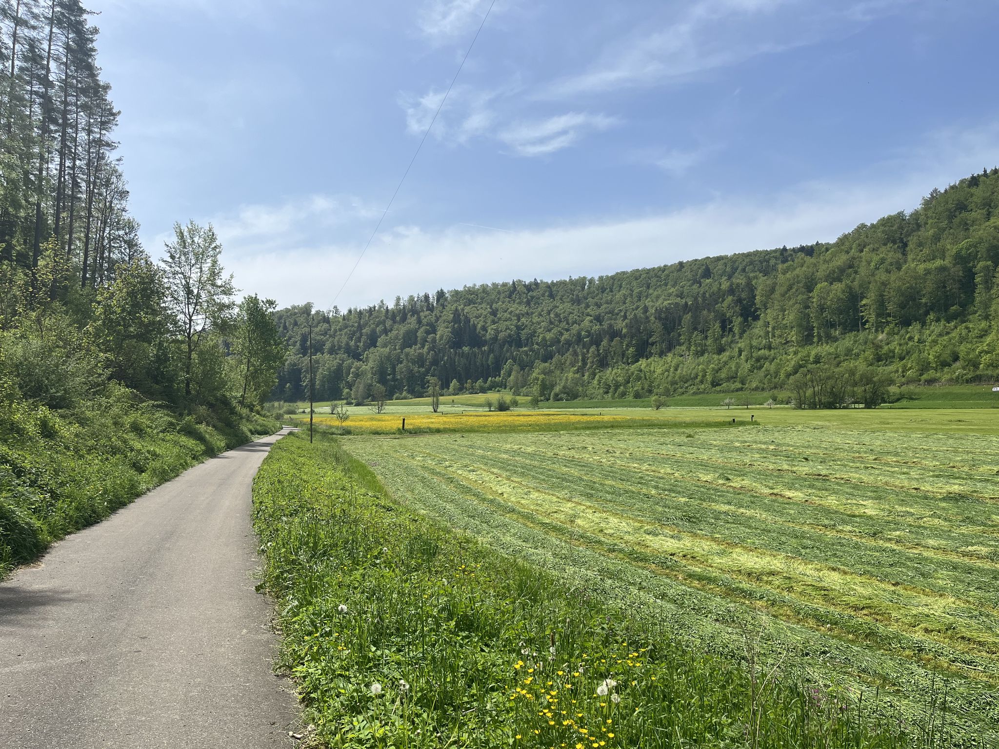 Herrliche Radfahrstrecke zwischen Fridingen und Bärenthal