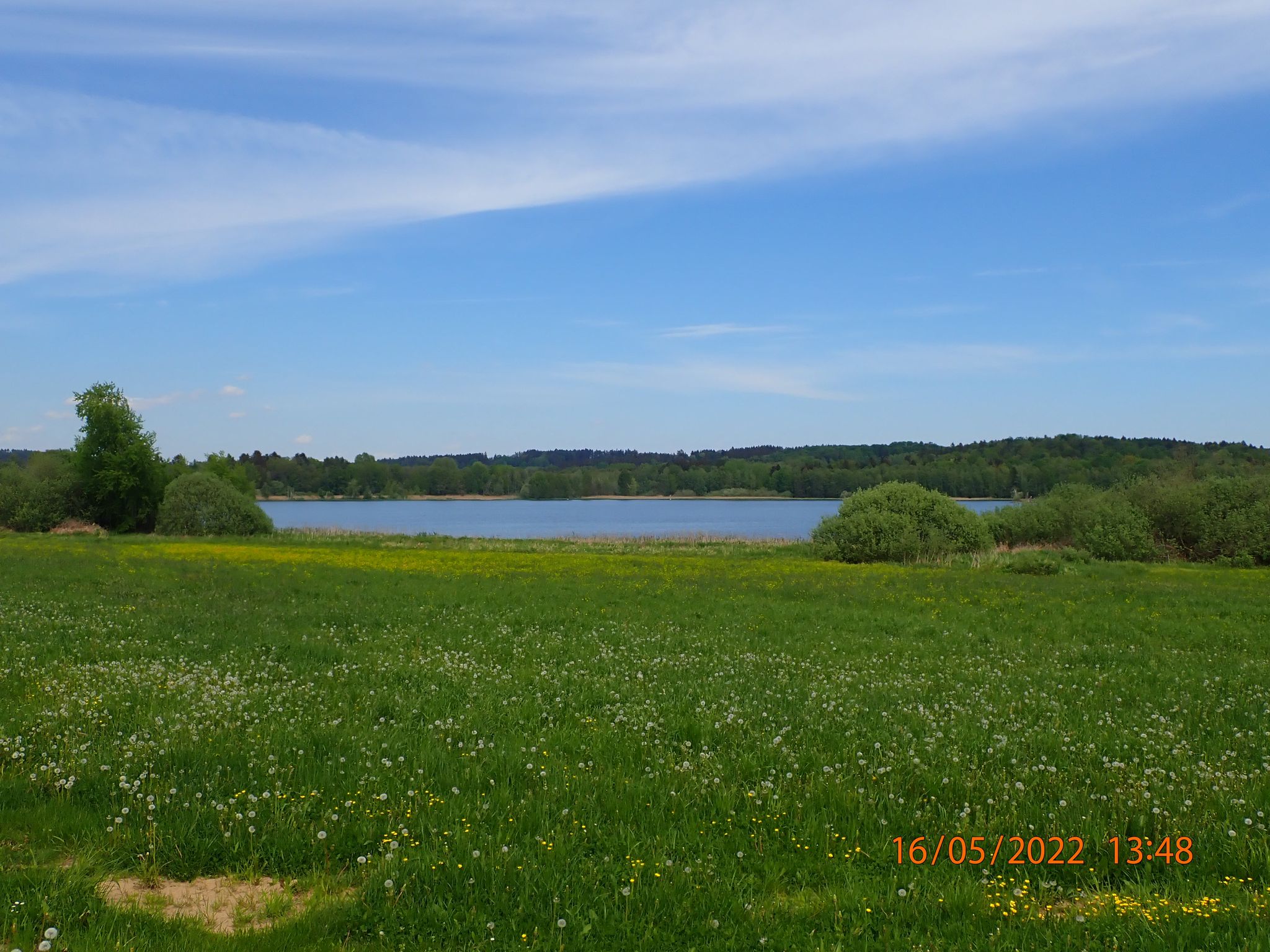 Karpfenteich