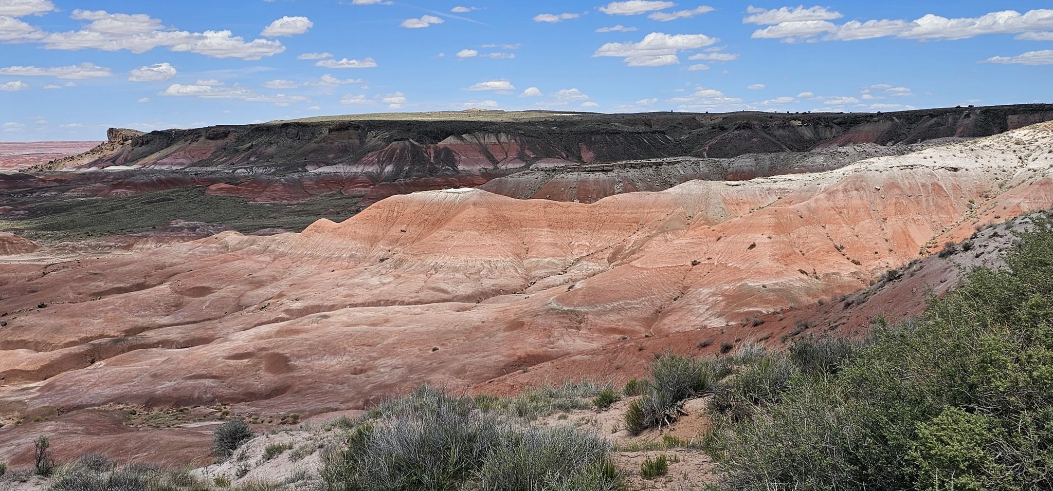 Panoramic view of layered, colorful rock formations and arid desert landscape. - Petrified Forest Scenic Drive