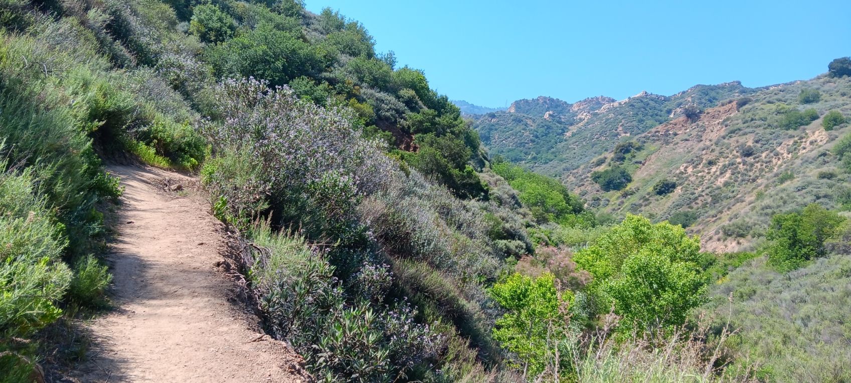 Narrow dirt trail winding along a brush-covered hillside with distant green valleys. - Towsley Canyon – Santa Clarita Woodlands Park