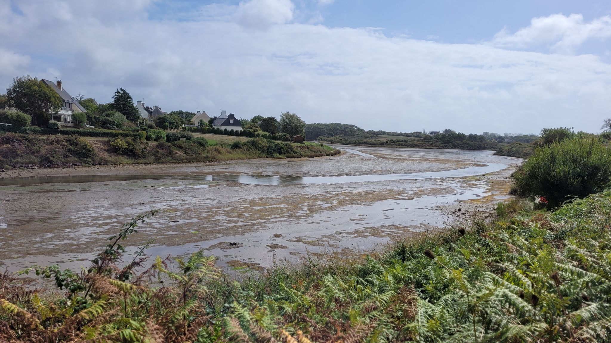 Marée basse !