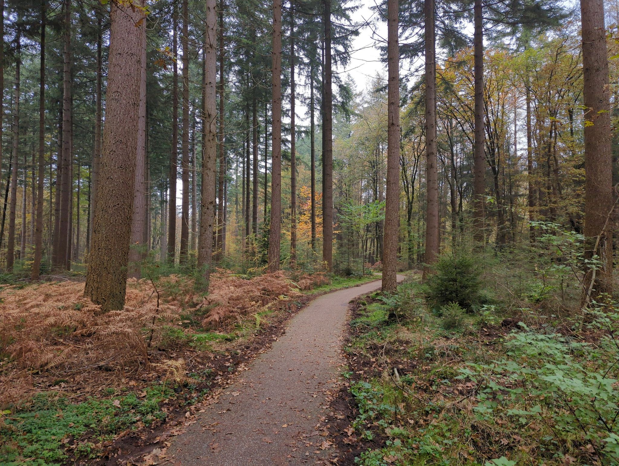 Radweg