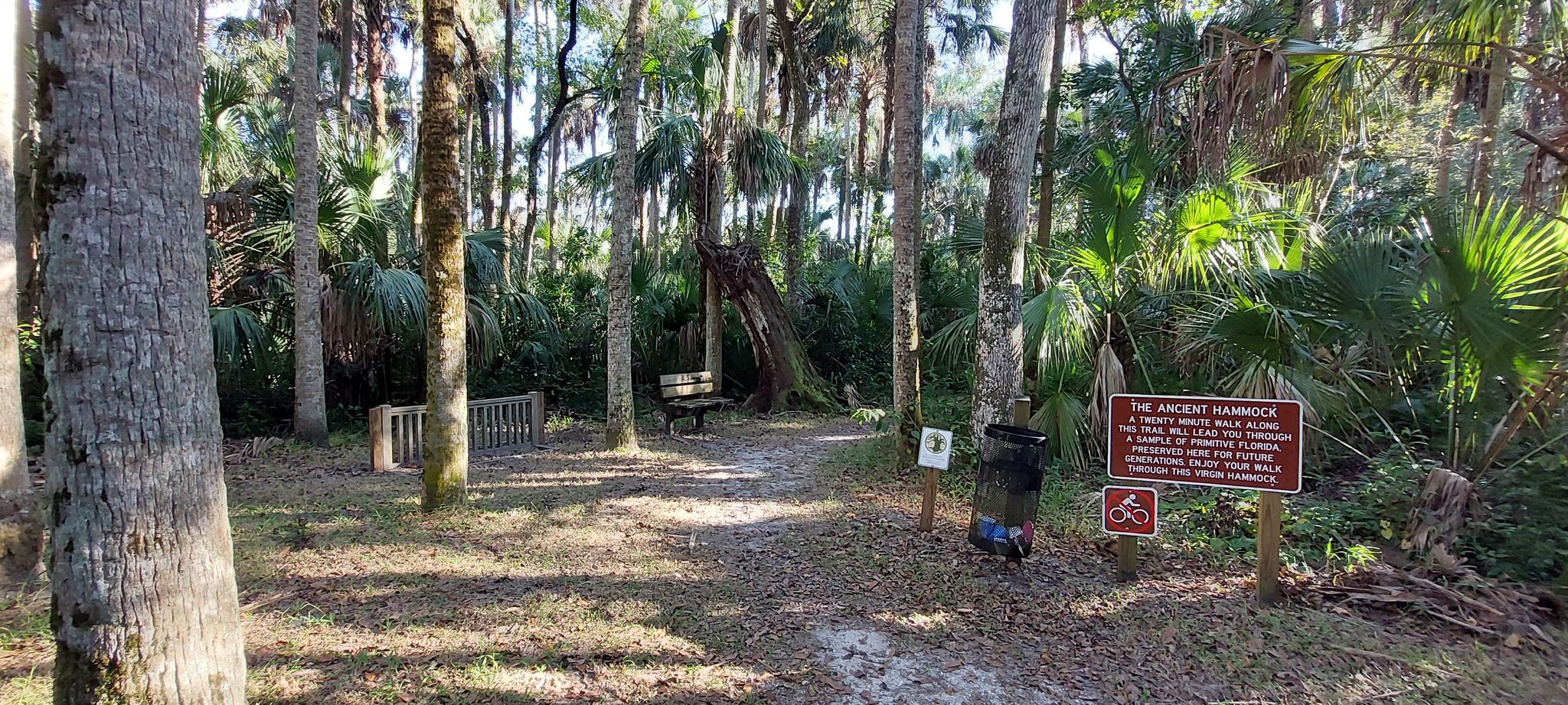 A forest clearing with benches and informational signs under dappled sunlight. - Hickory and Cypress Swamp Trail