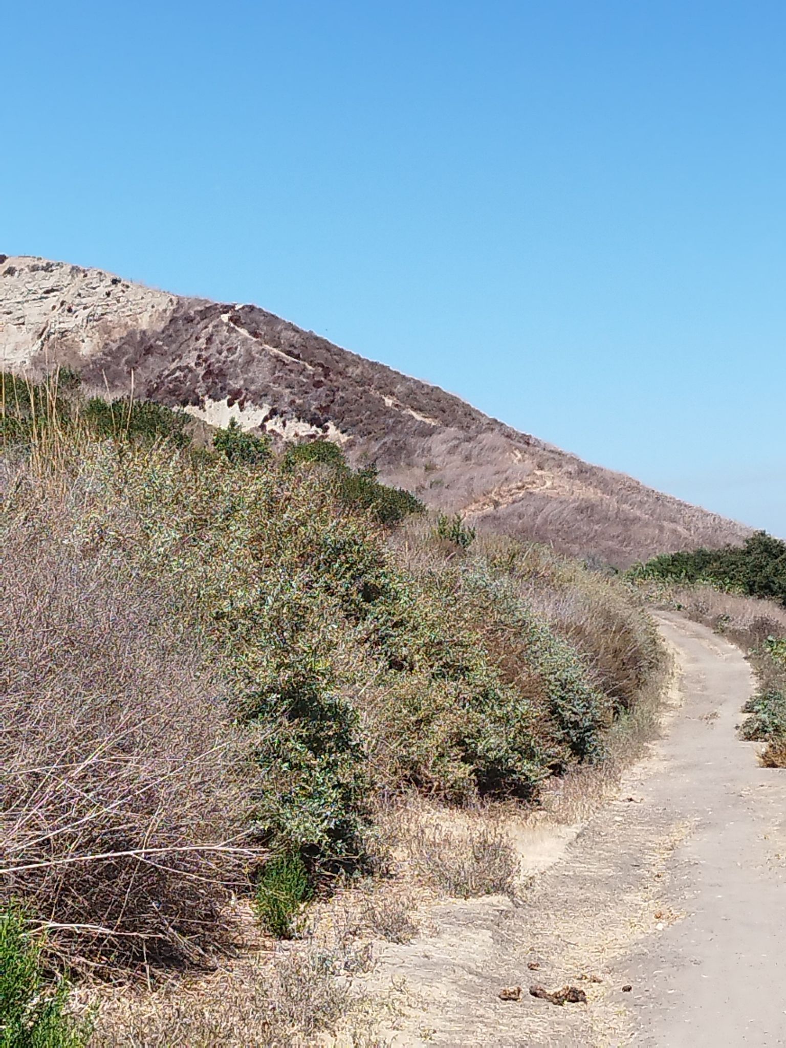 A dirt path winds up a dry, brush-covered hillside under a clear blue sky. - Descanso Park – Patriot Trail loop from Golden Lantern-Beacon Hill