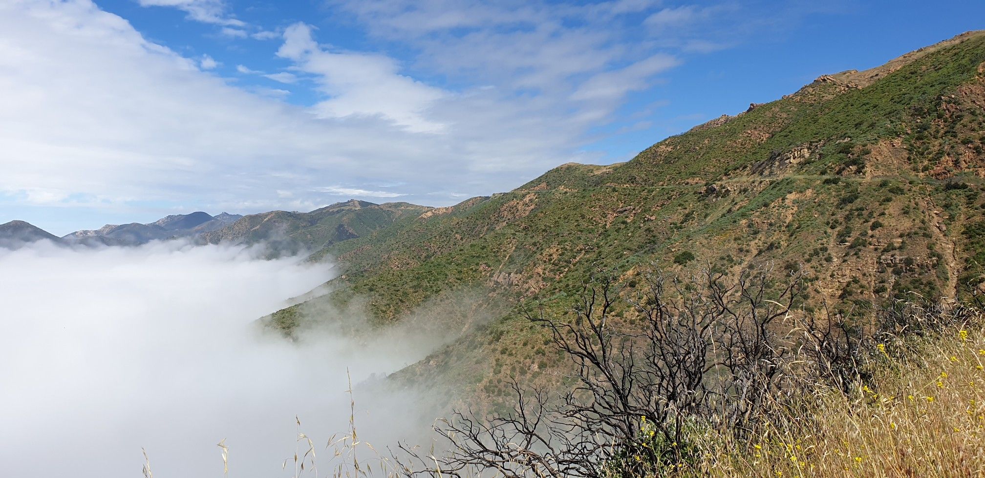 Green mountainsides rise above a valley filled with thick white clouds. - Romero Canyon Loop Trail