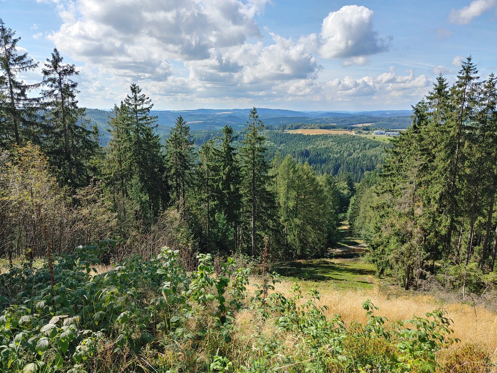 Blick über den Frankenwald