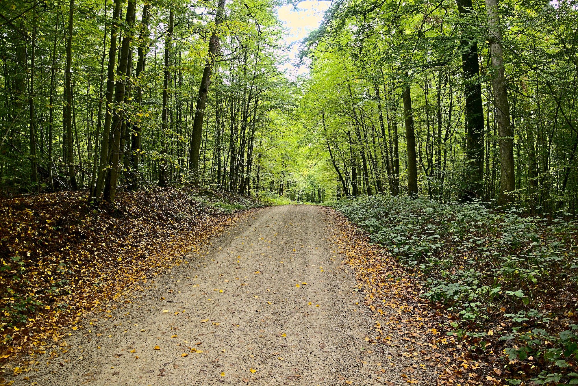 Die letzten Meter nach Burgebrach