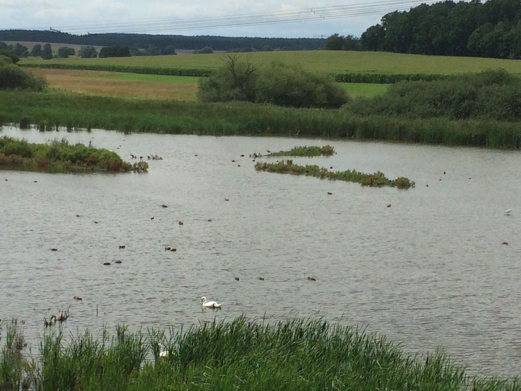 Bock auf den See
