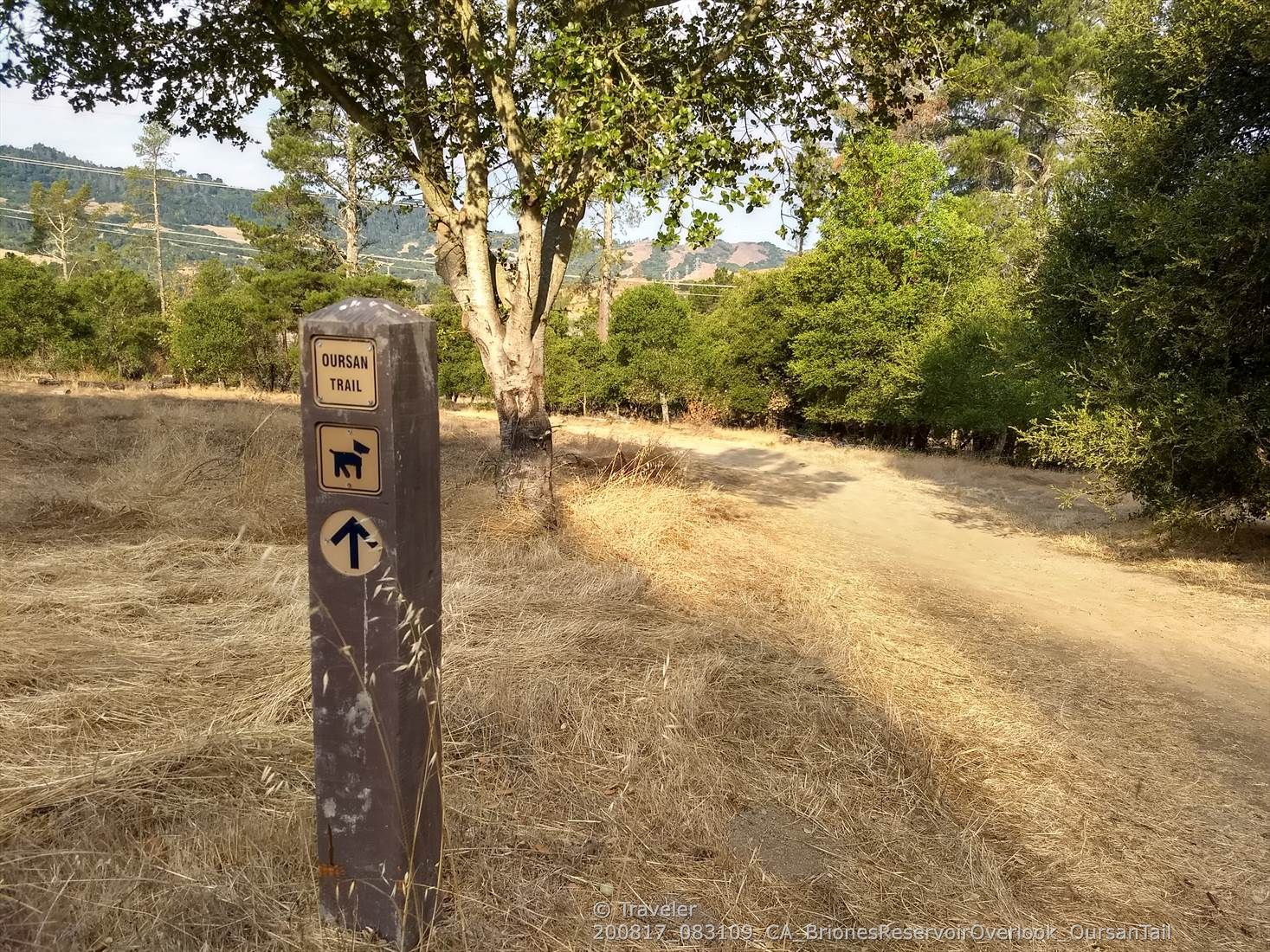 A trail marker post in dry grass, with a dirt path and trees. - Oursan and Bear Creek Trail Loop