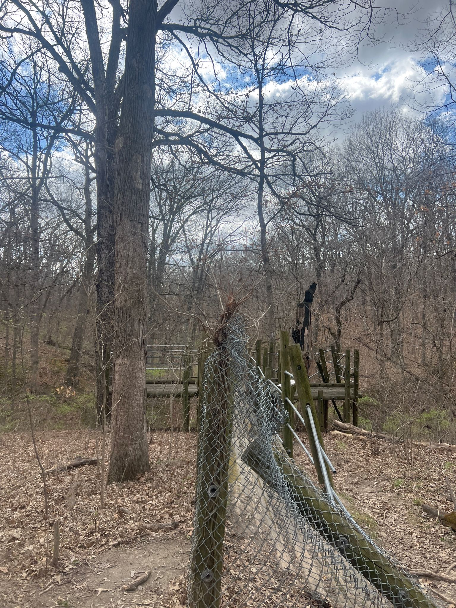 A broken chain-link fence in a wooded area with bare trees. - Cool Ranch