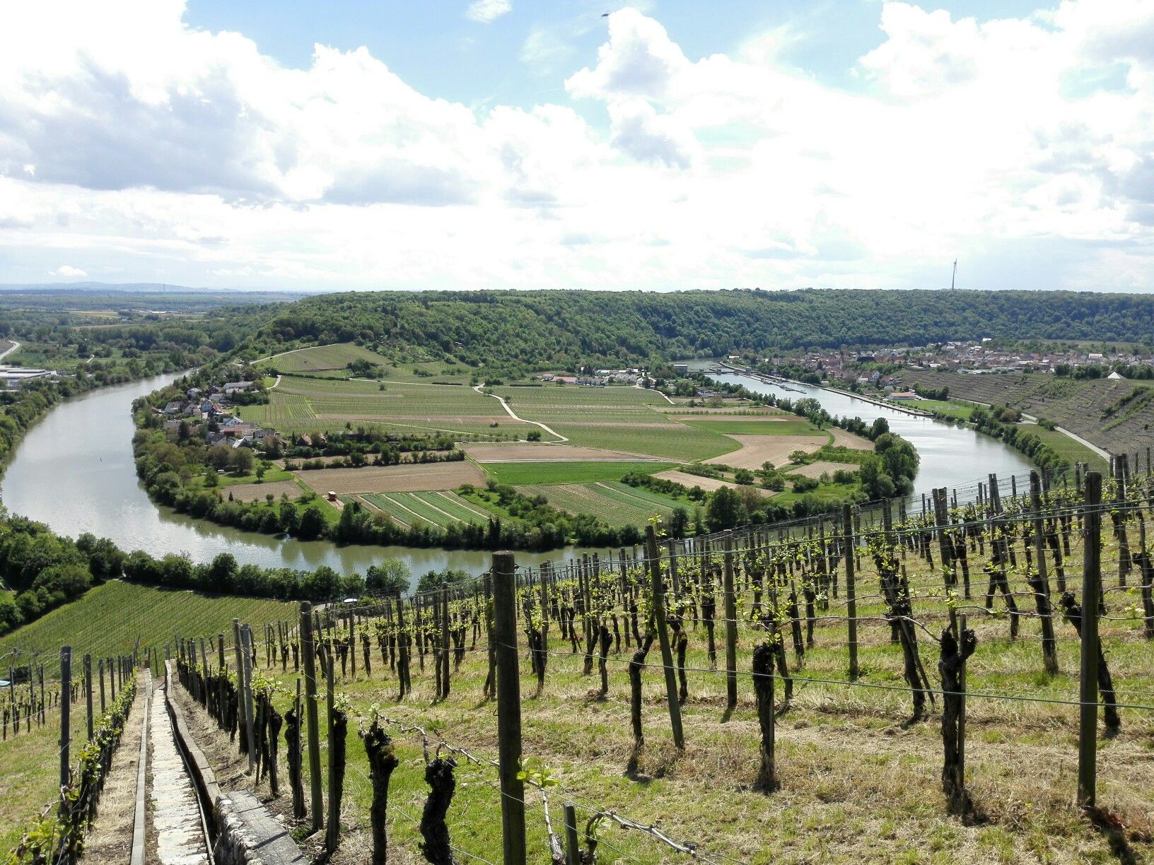 Neckar schleife