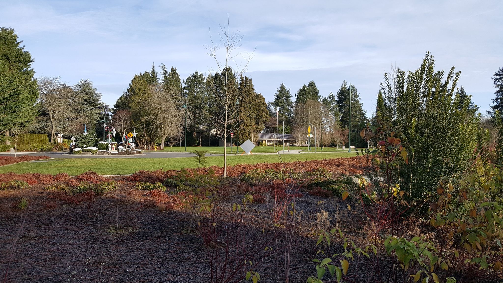 Grassy park with scattered trees and shrubs under a bright sky. - Totem Lake Pedestrian Bridge – 520 Bridge View Park loop from DigiPen Institute of Technology