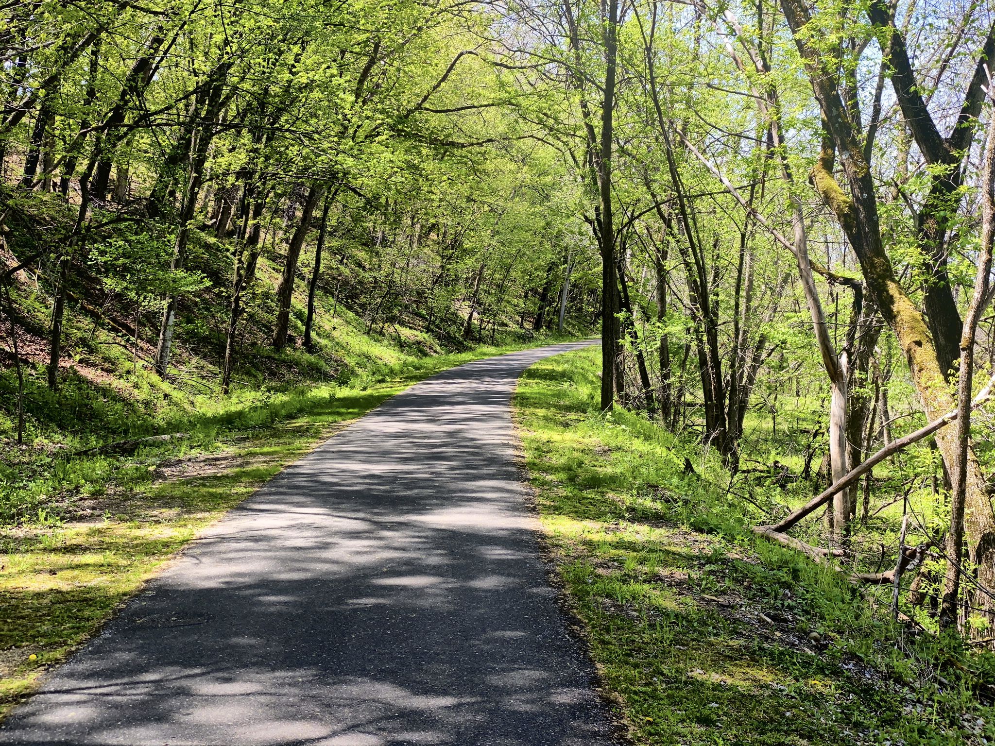 Paved path winding through a tunnel of bright green trees on a sunny day. - Lost without name