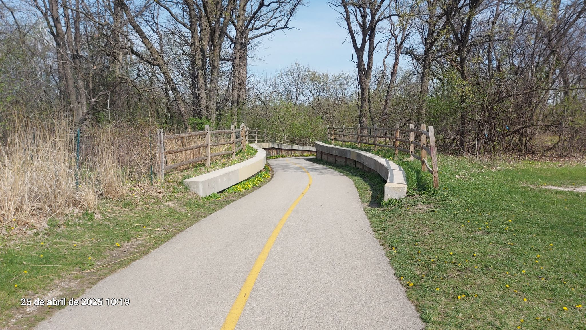 Paved path with yellow line curves through green grass and bare trees. - Chicago