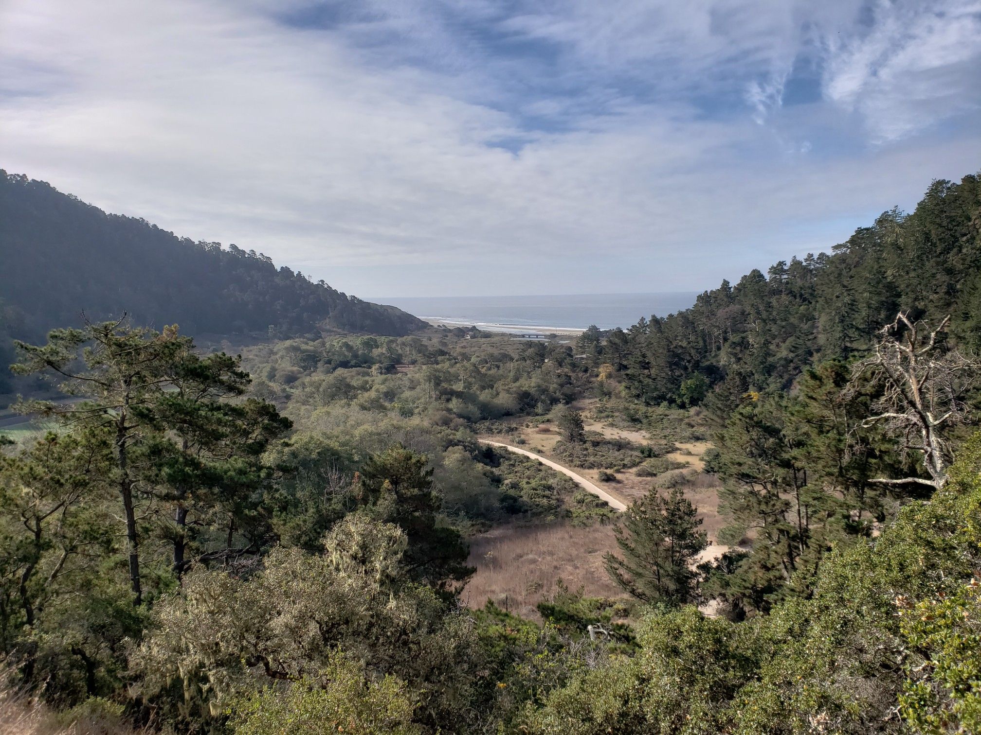 Valley with trees, dirt road, and distant ocean under cloudy sky. - Hiking loop from Theodore J. Hoover Natural Preserve