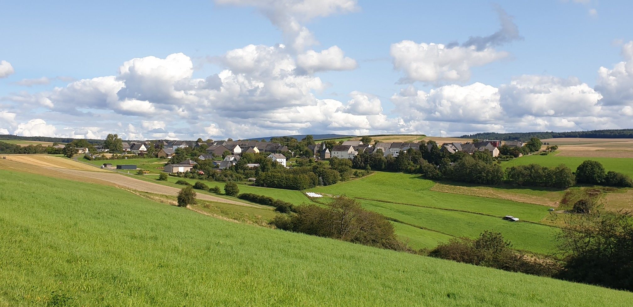 Blick auf Fronhofen
