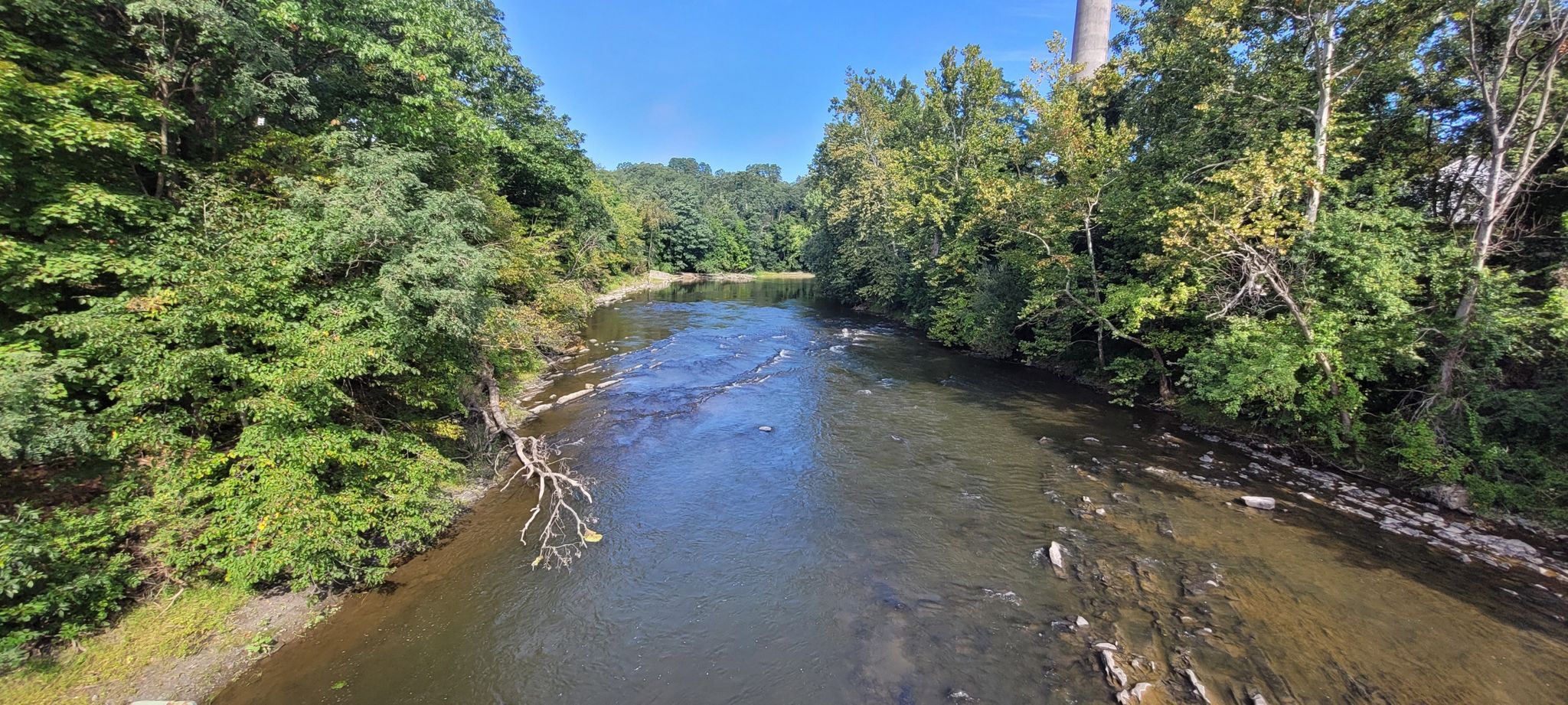 A river flows through a dense green forest under a bright blue sky. - Albany-Hudson Electric Trail – Claverack Creek Waterfall loop from Lorenz Park