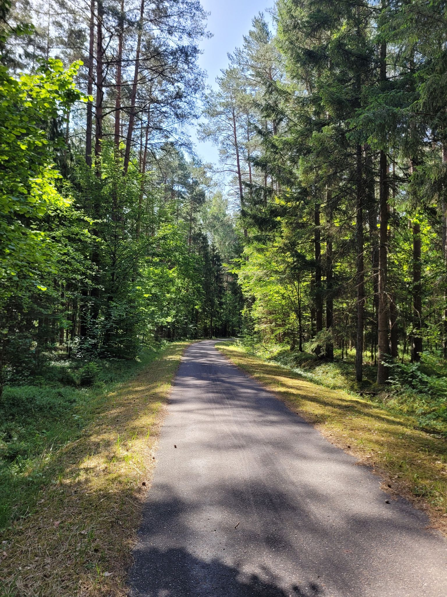 Szlak rowerowy z asfaltową nawierzchnią, od wsi Gruszki do granicy Białowieskiego Parku Narodowego.