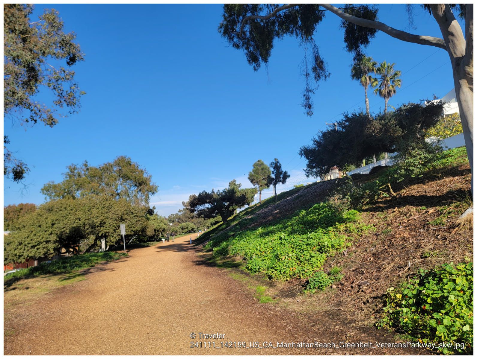 Dirt path curves uphill alongside grassy slope and trees under clear blue sky. - Manhattan Beach and Pier – Noble Park loop from El Segundo
