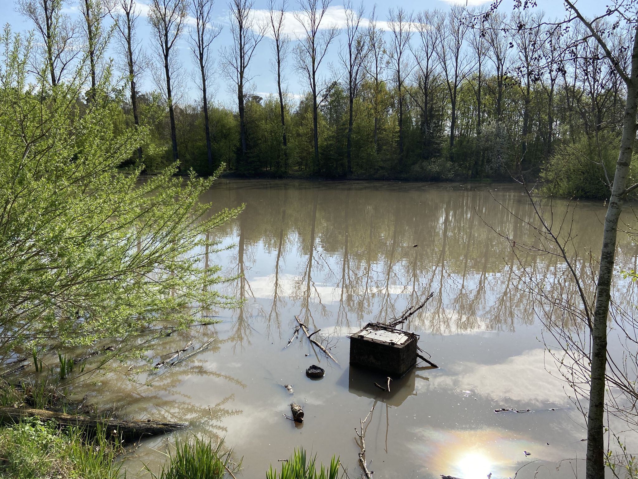 Gräfweiher