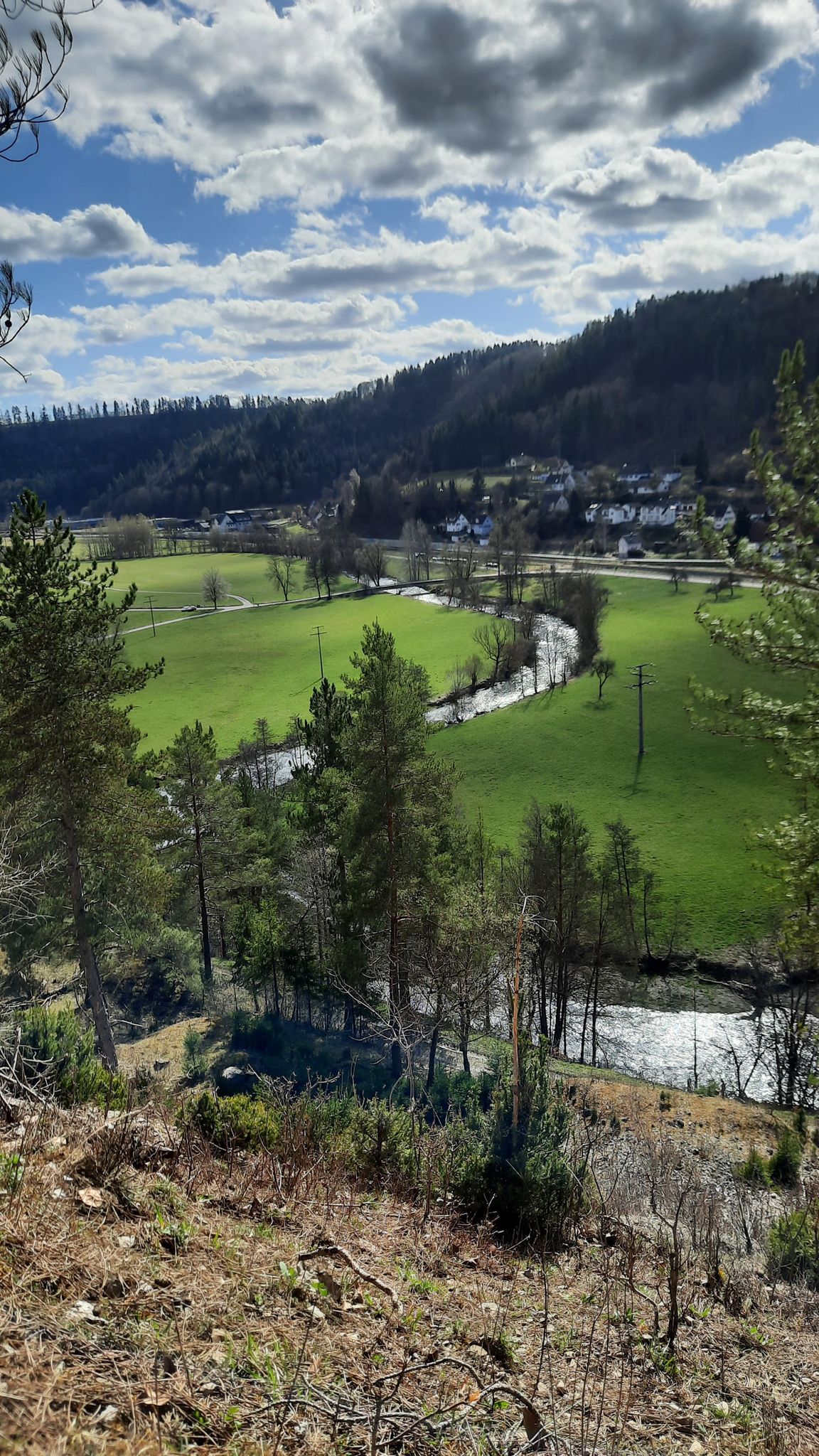 Neckar