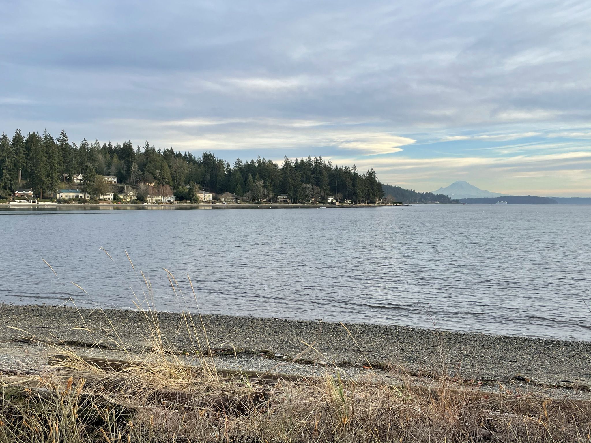 Calm water, pebbly beach, forested shore, and distant mountain under cloudy sky. - Chilly Hilly loop