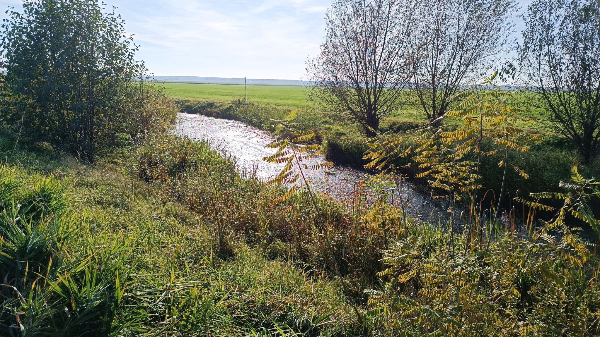 Das Wasser steht.