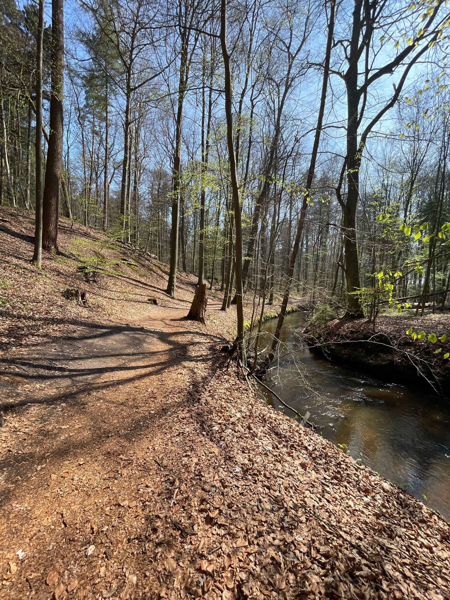 Hasenburger Bachtal