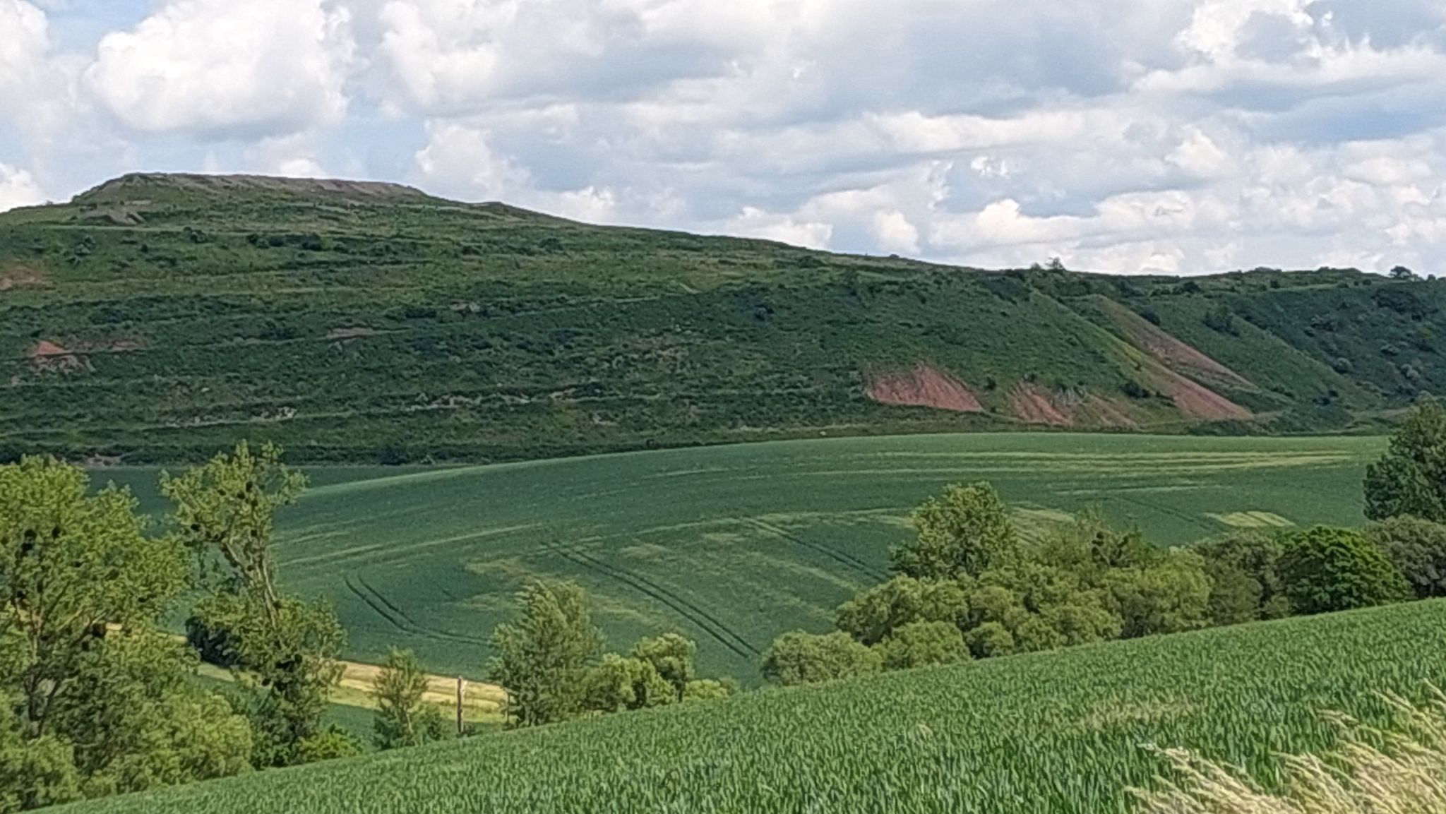 Kanihalde Sollstedt