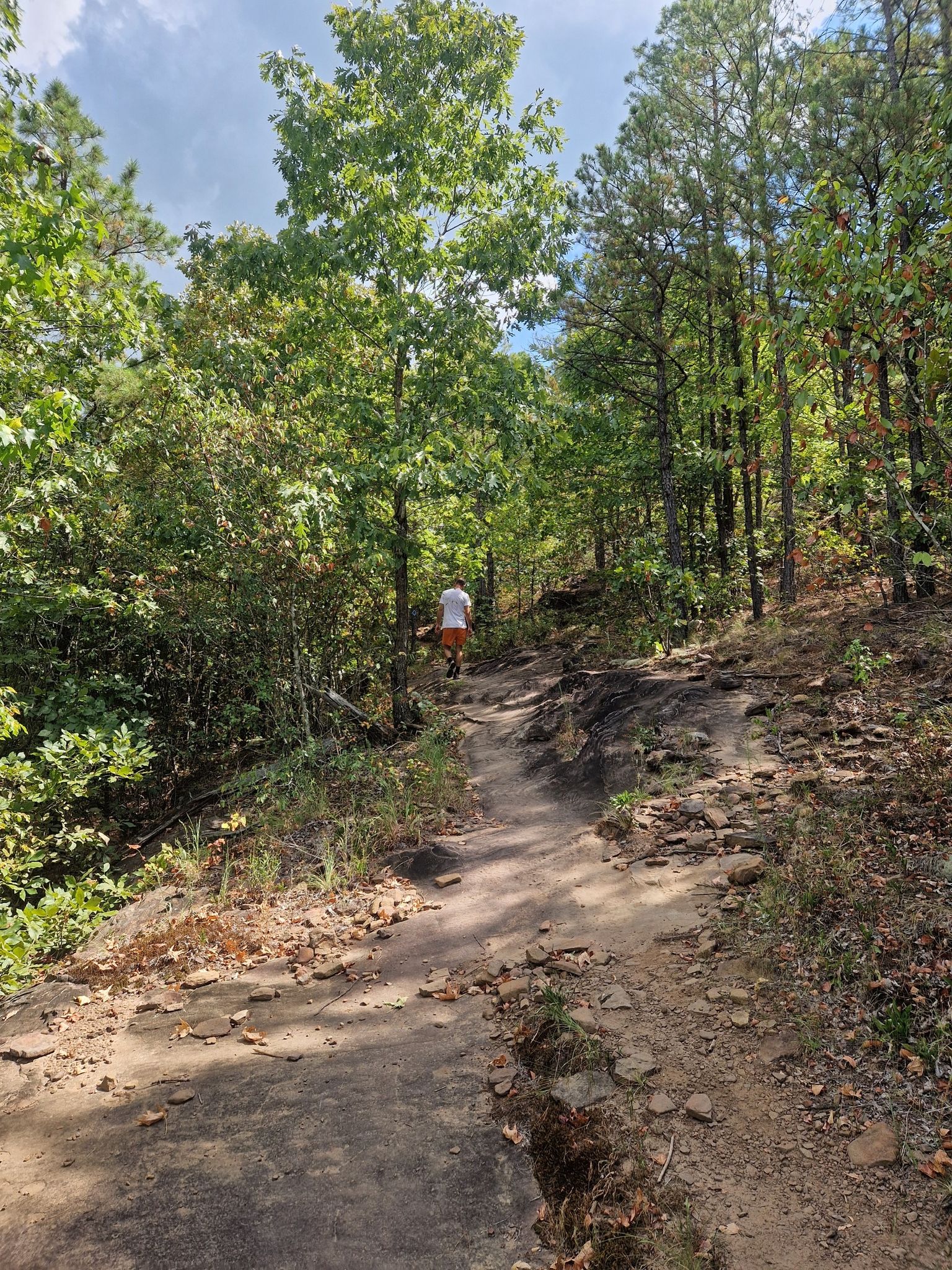 A person hikes up a rocky, sunlit forest path. - Seven Hollows Trail
