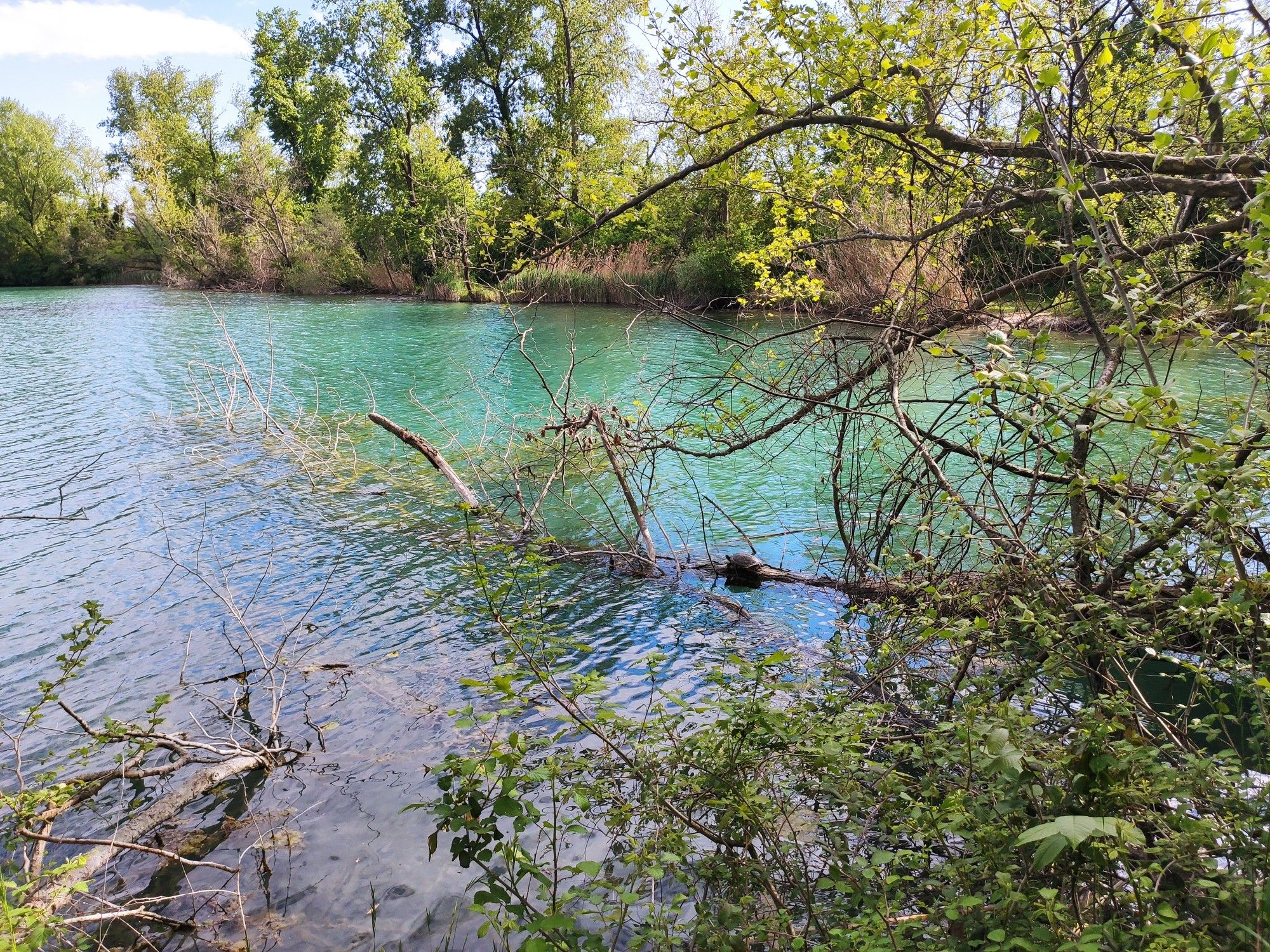 Lago Paker, Cordovado