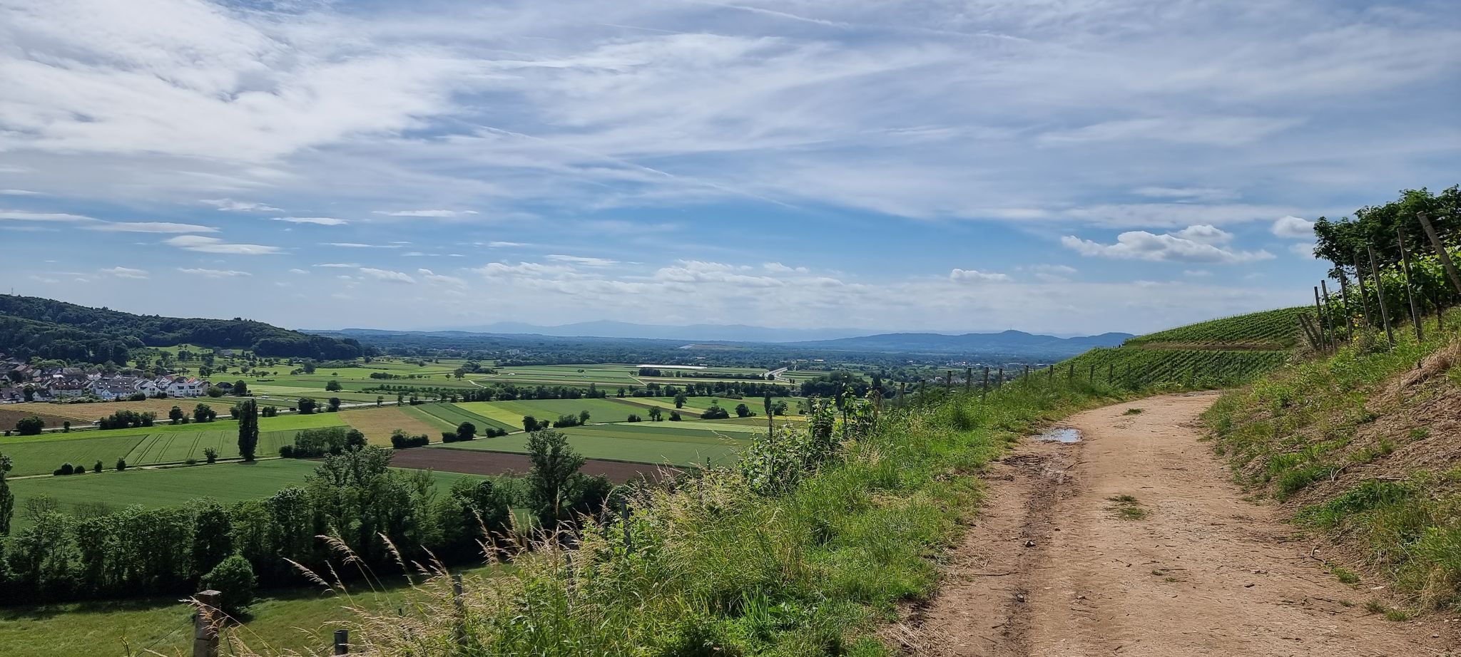 Rheinebene Vogesen und Kaiserstuhl am Horizont...