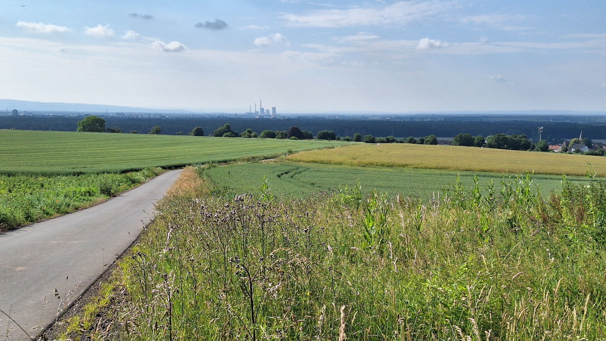 Blick auf das Kraftwerk Staudinger von der Abfahrt der Hohen Straße nach Wachenbuchen