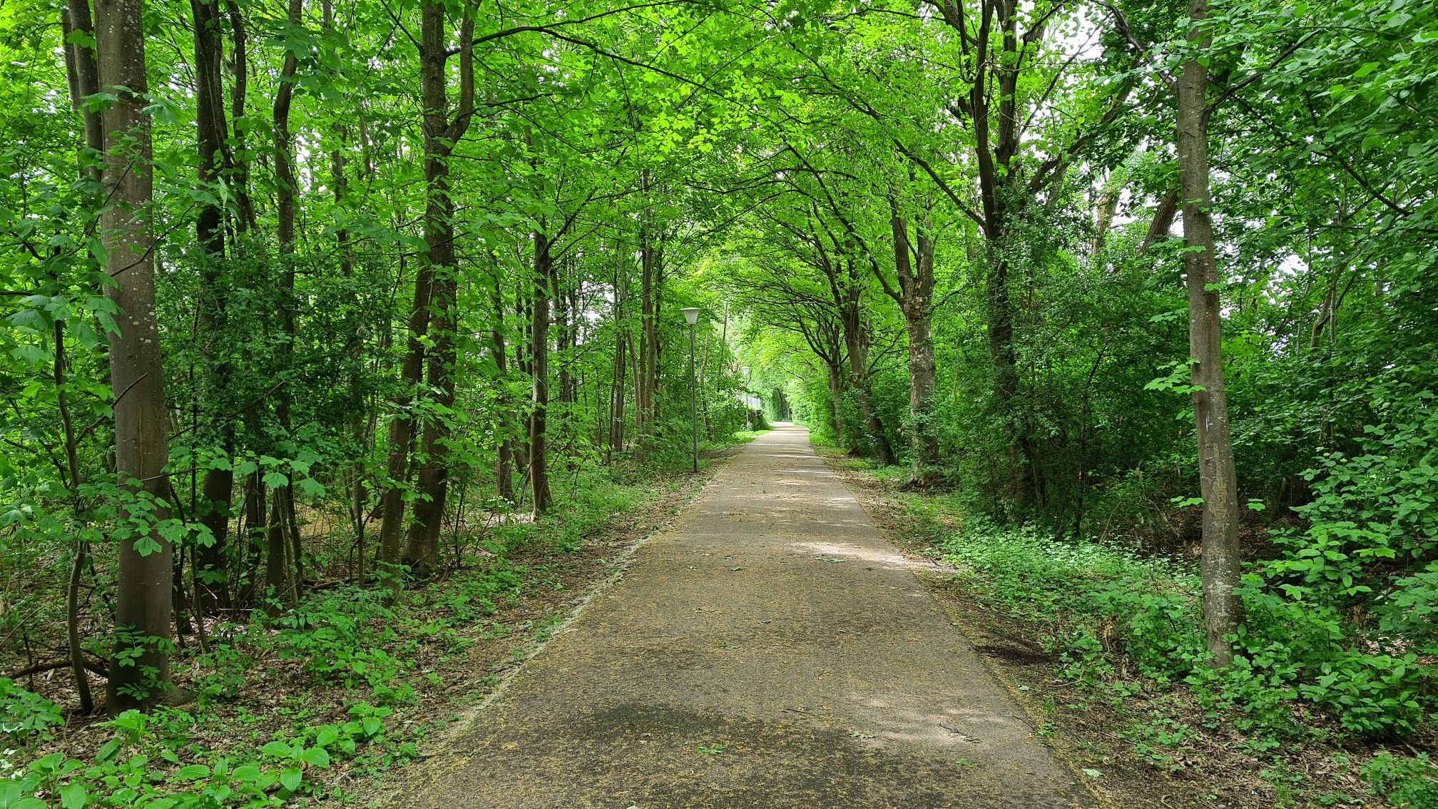 Weg am Ascherbach in Puchheim