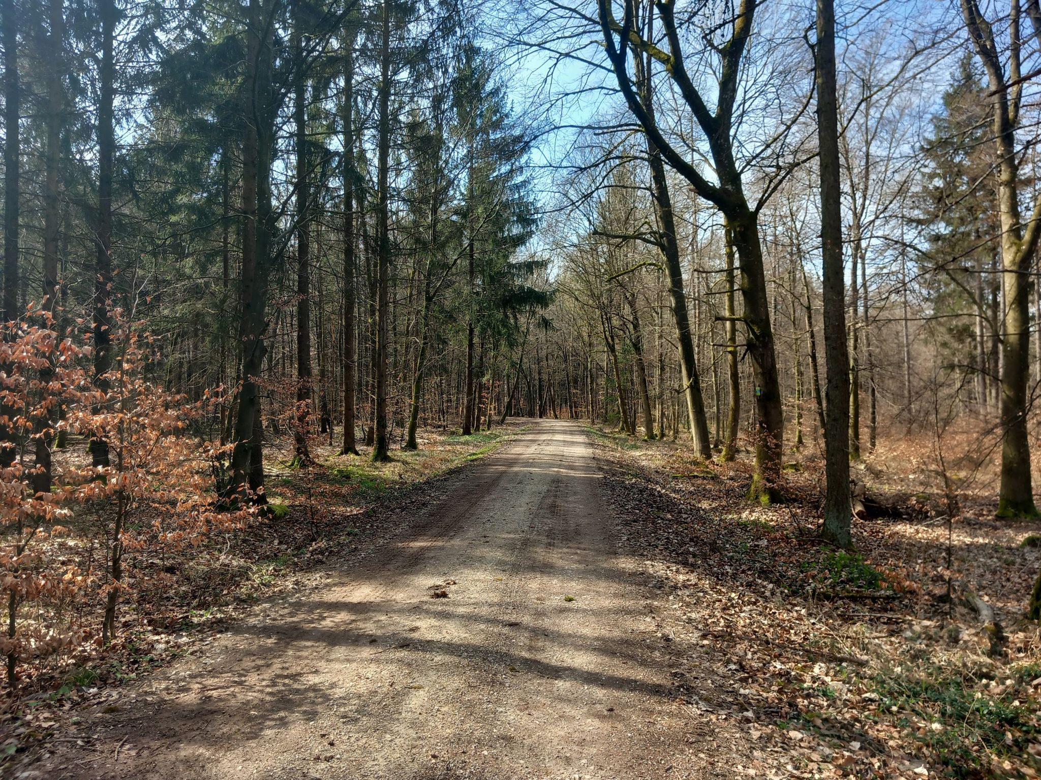 Und wieder diese Wege