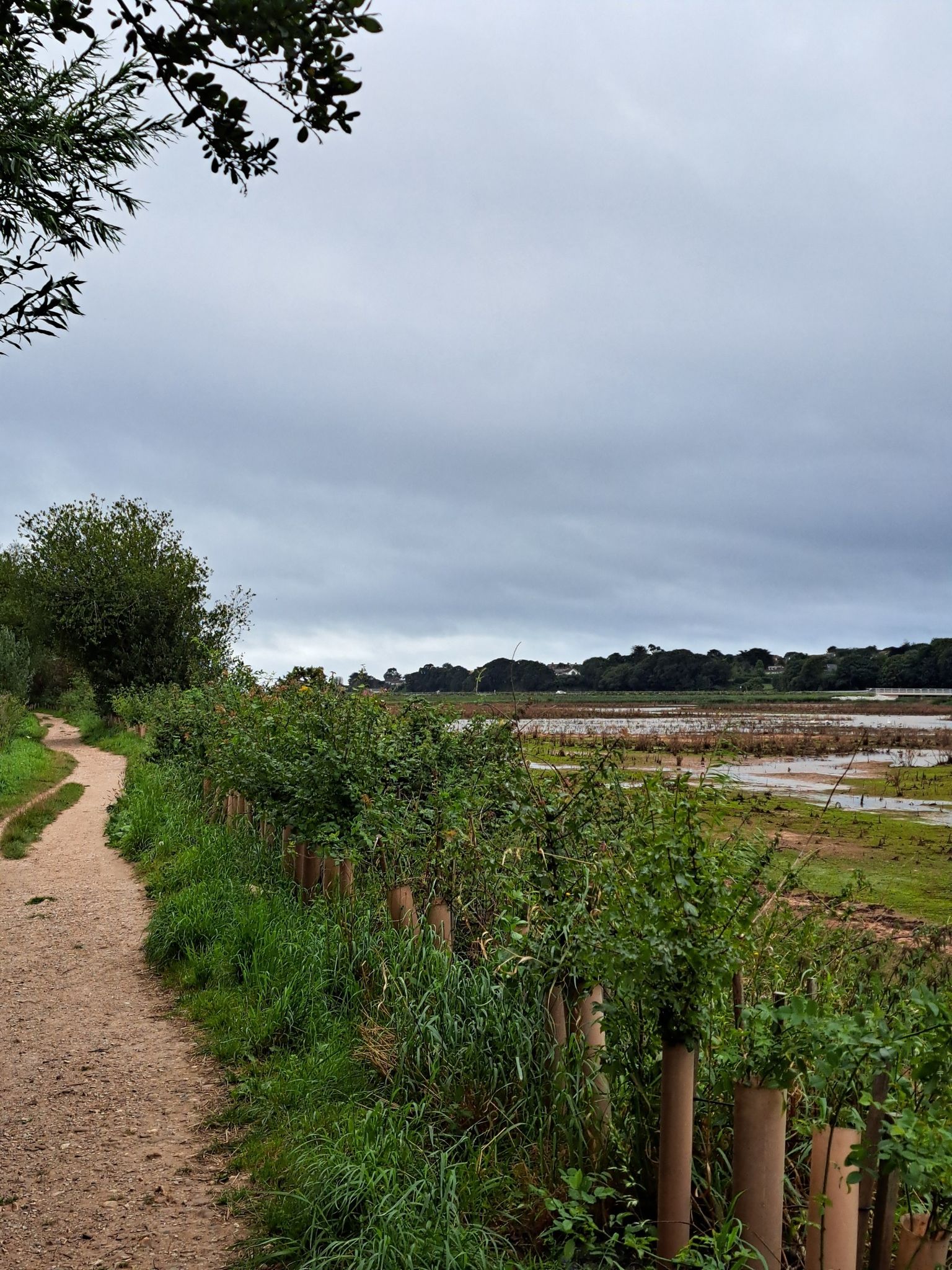 The wetlands project. So much wildlife!