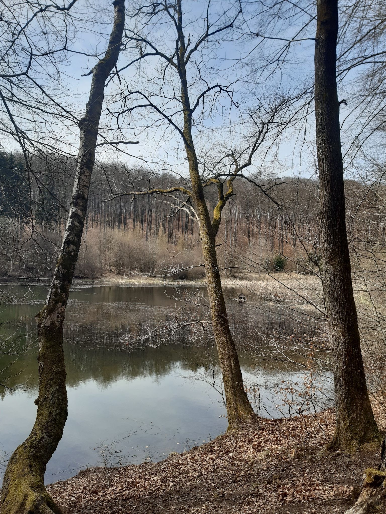 Veltens Weiher