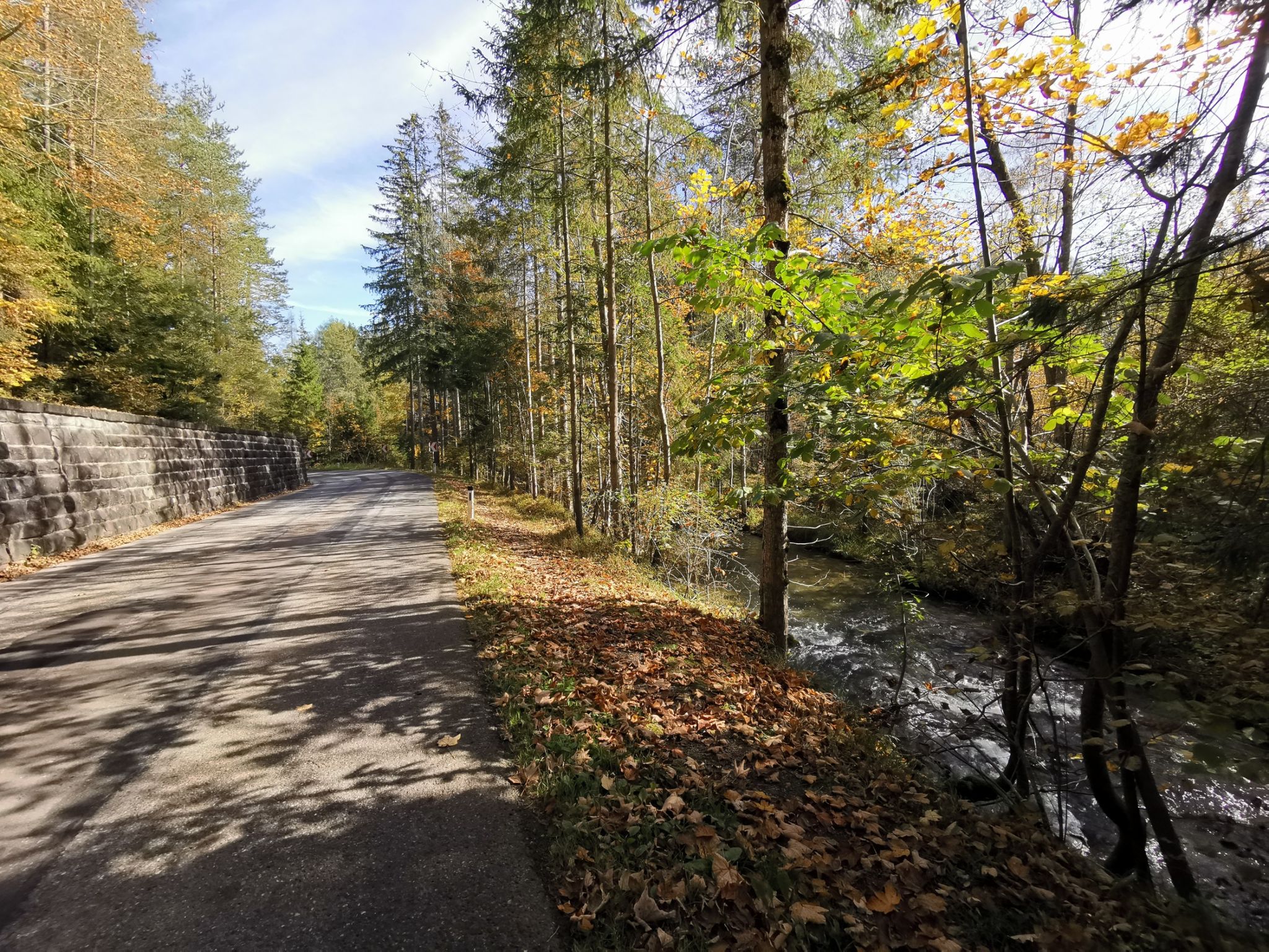 Der Erlauf entlang Richtung Mitterbach