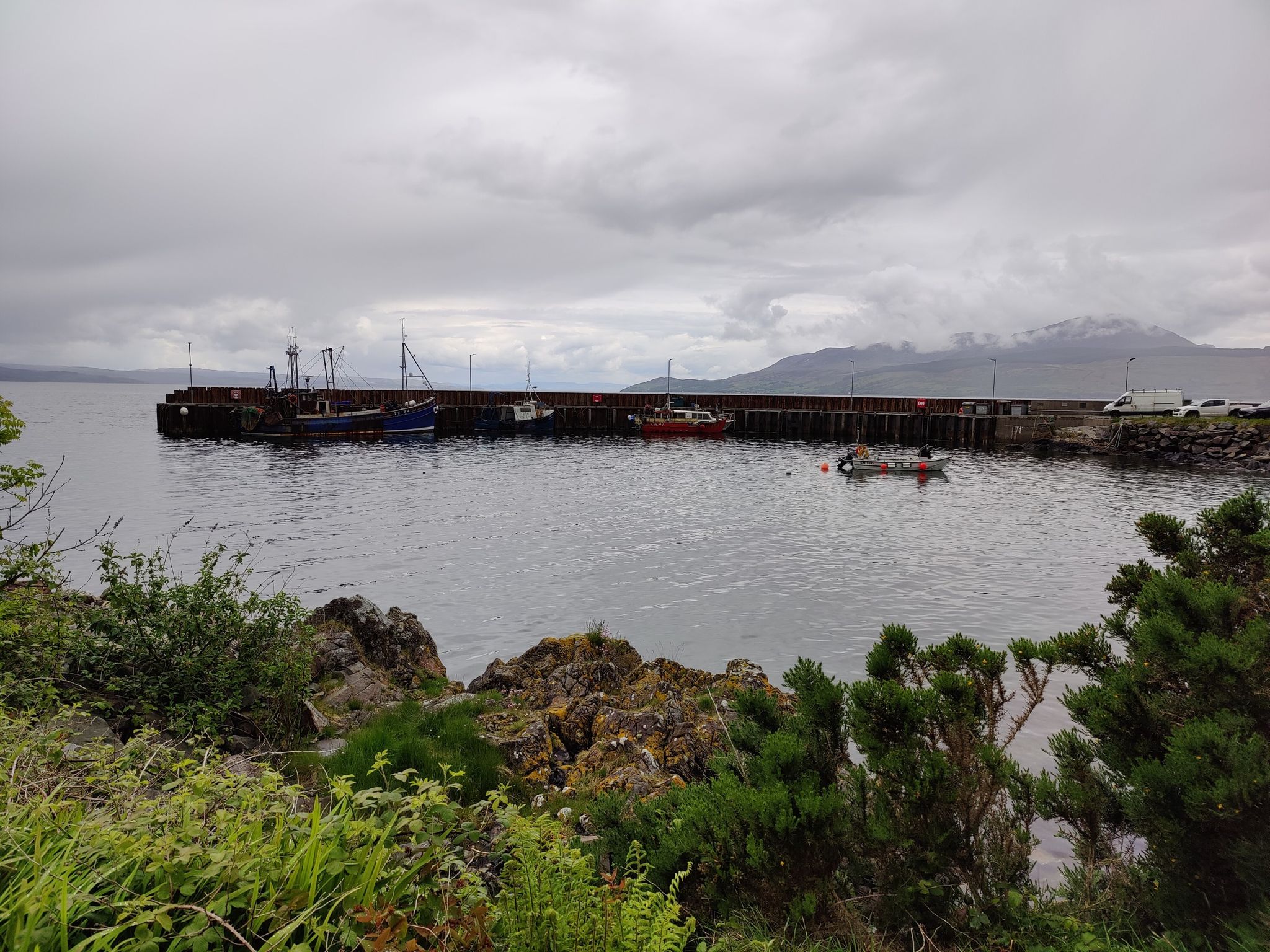 Carradale harbor