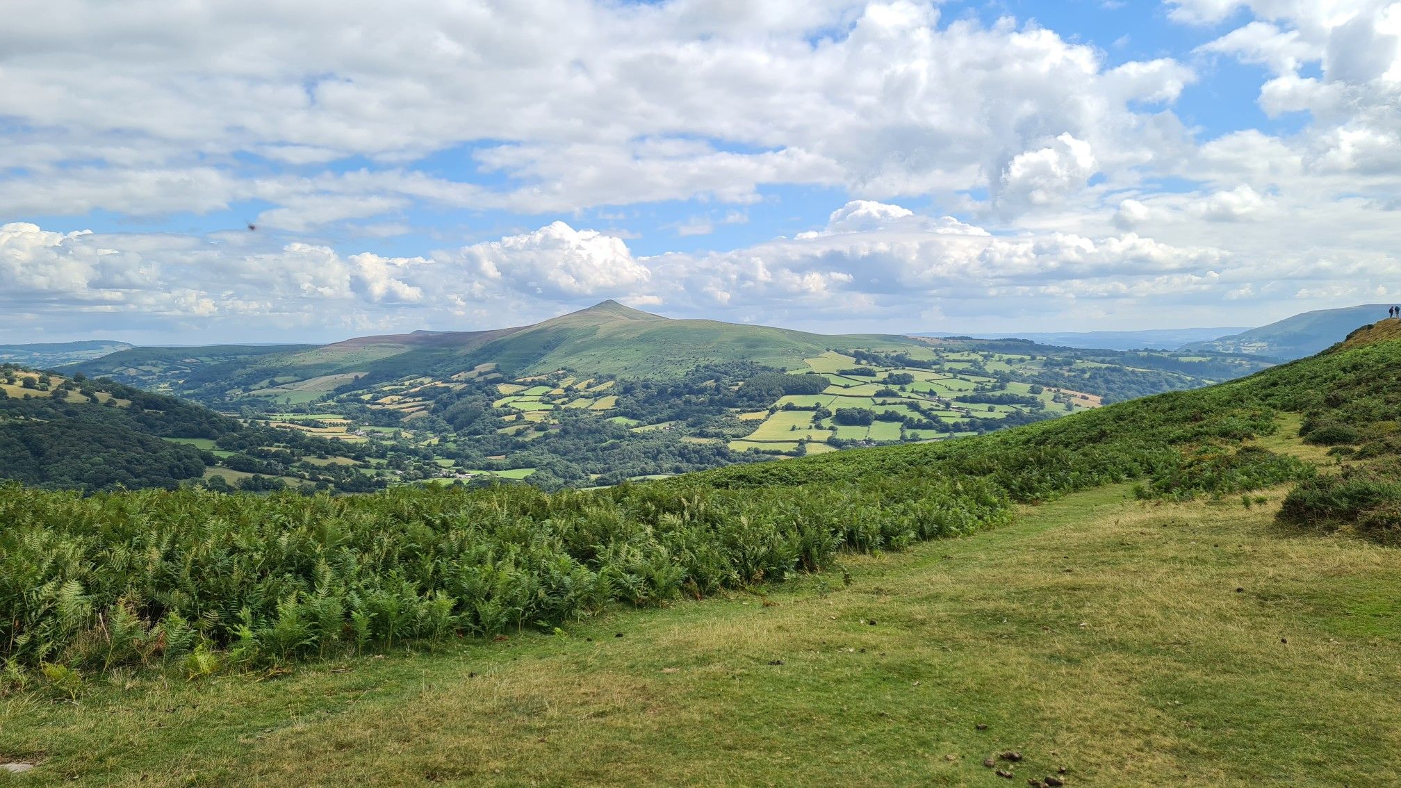 sugar loaf