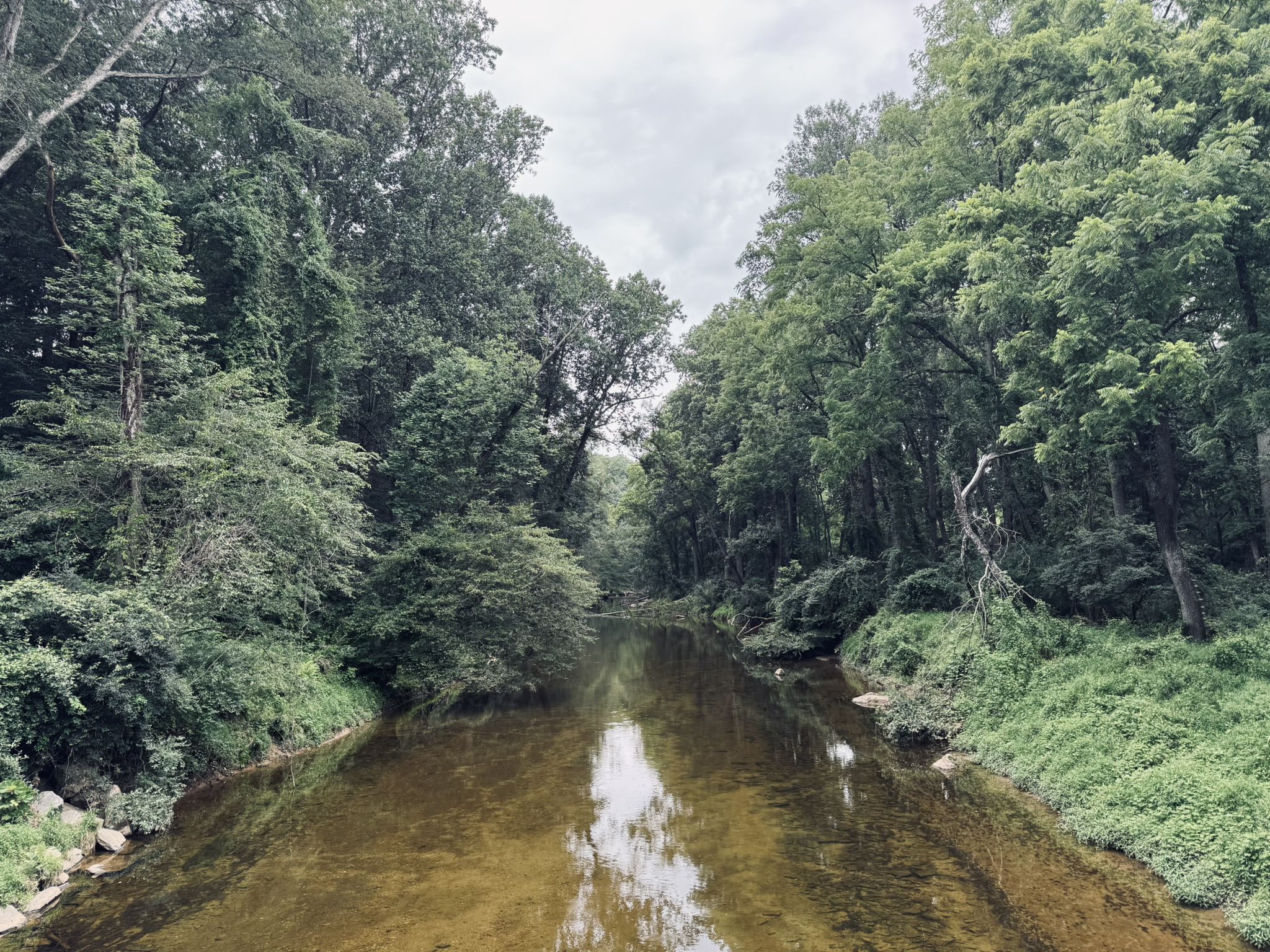 A calm river flows through a dense green forest under a cloudy sky. - Fair Hill Trailhead – Willis House Ruins loop from Newark