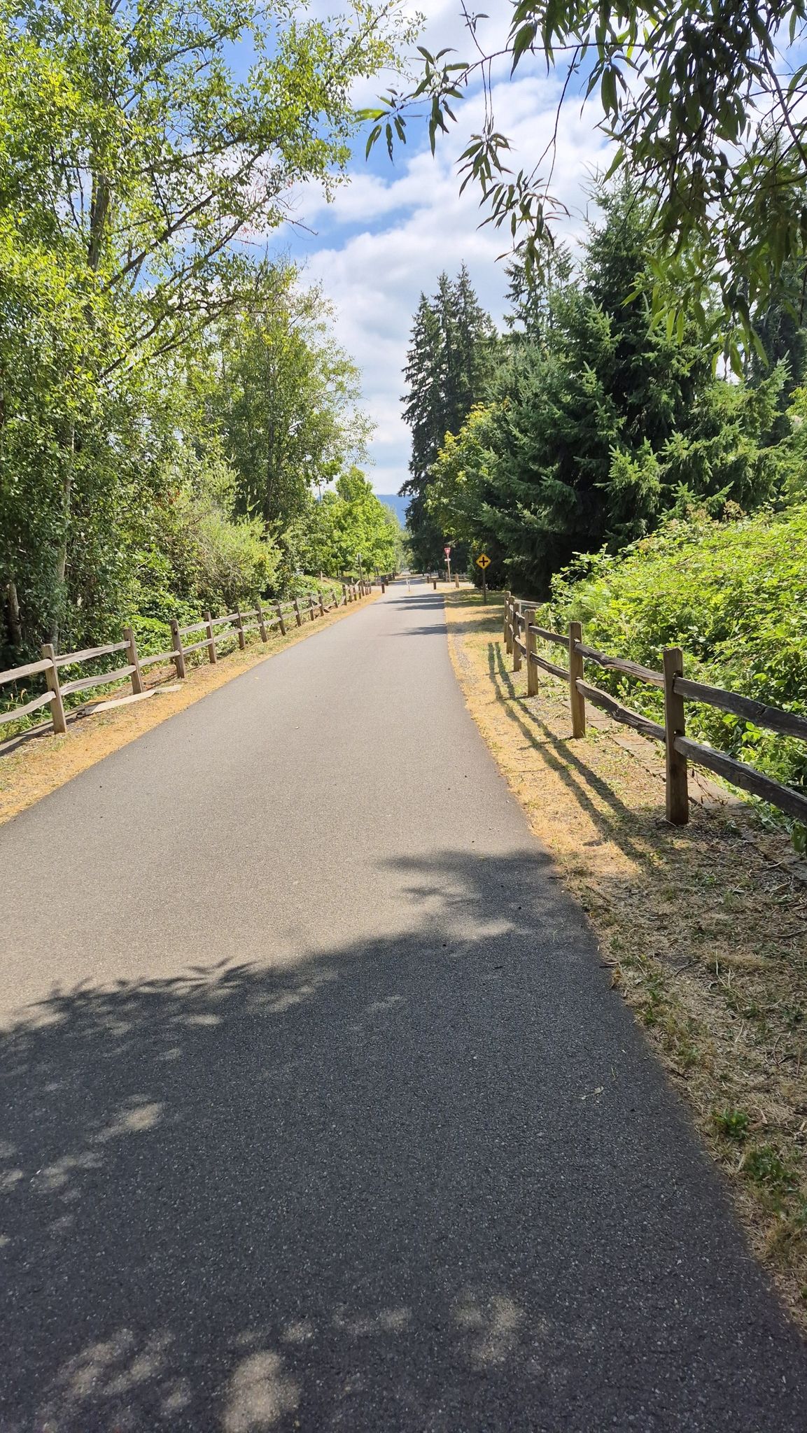 Sunny paved path winding through green trees with wooden fences, person in distance. - Lake Sammamish loop from Lake Sammamish
