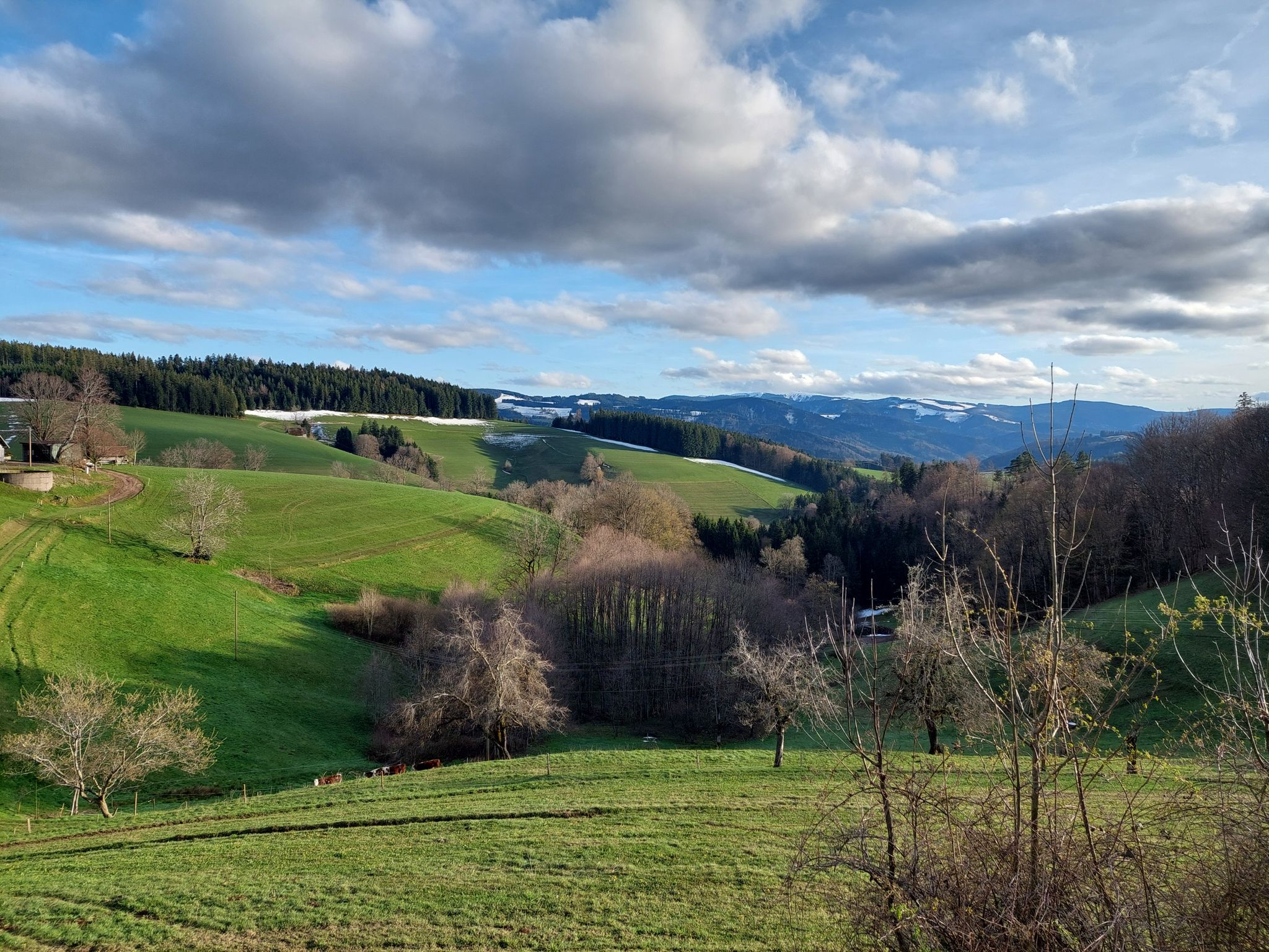 Oberibental, Panoramastraße Richtung St. Märgen: Blick am Luxhof vorbei