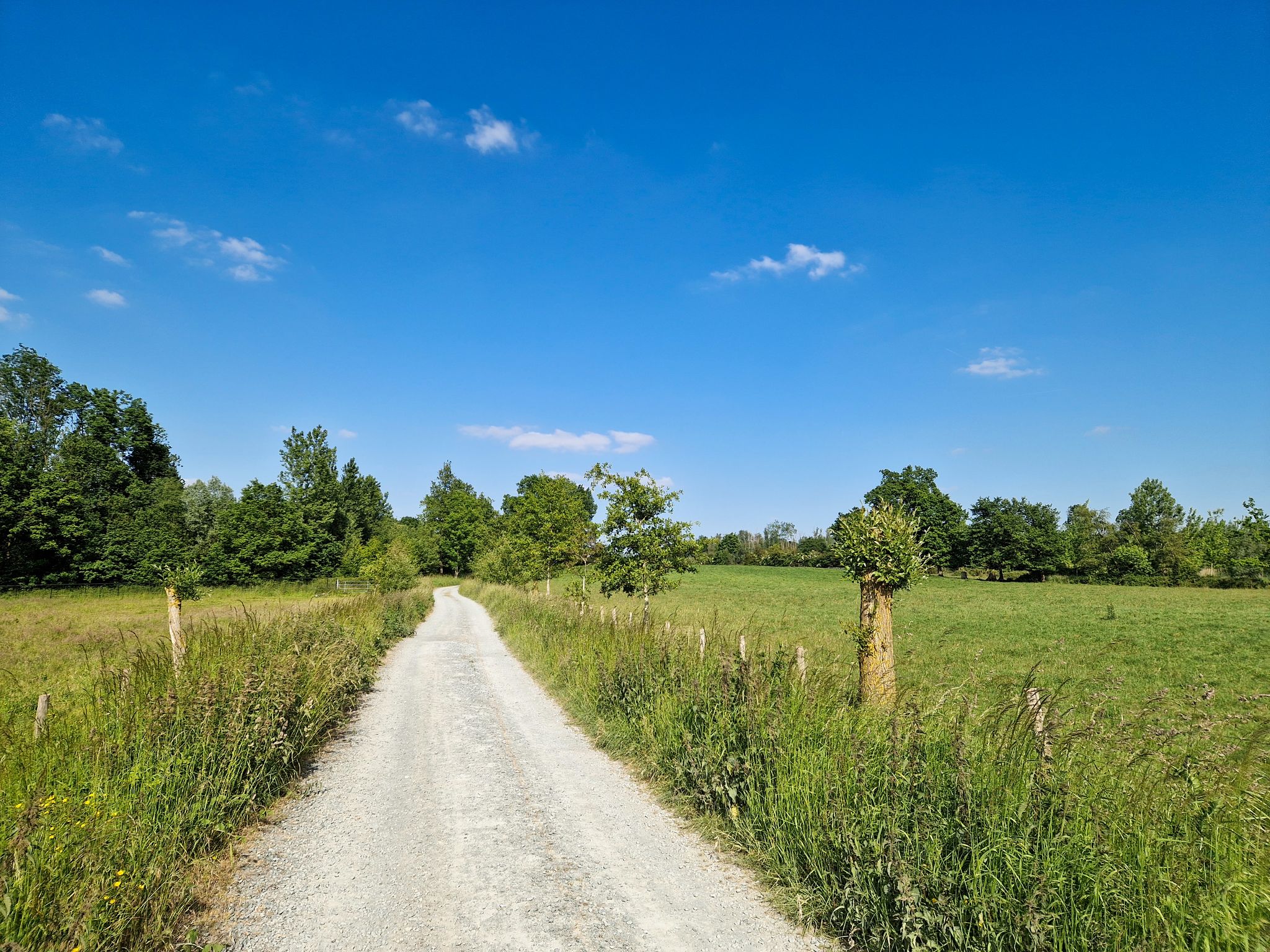 Over het grind van de trage weg Hasselt-Ten-Broek