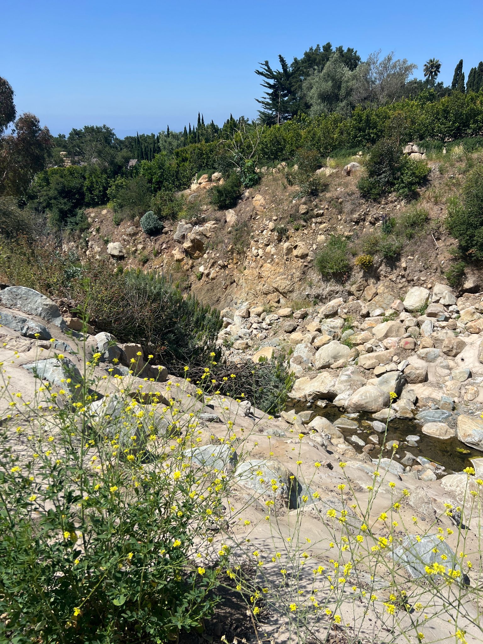 Sunny view of a rocky ravine with green bushes and distant ocean. - San Ysidro Trail